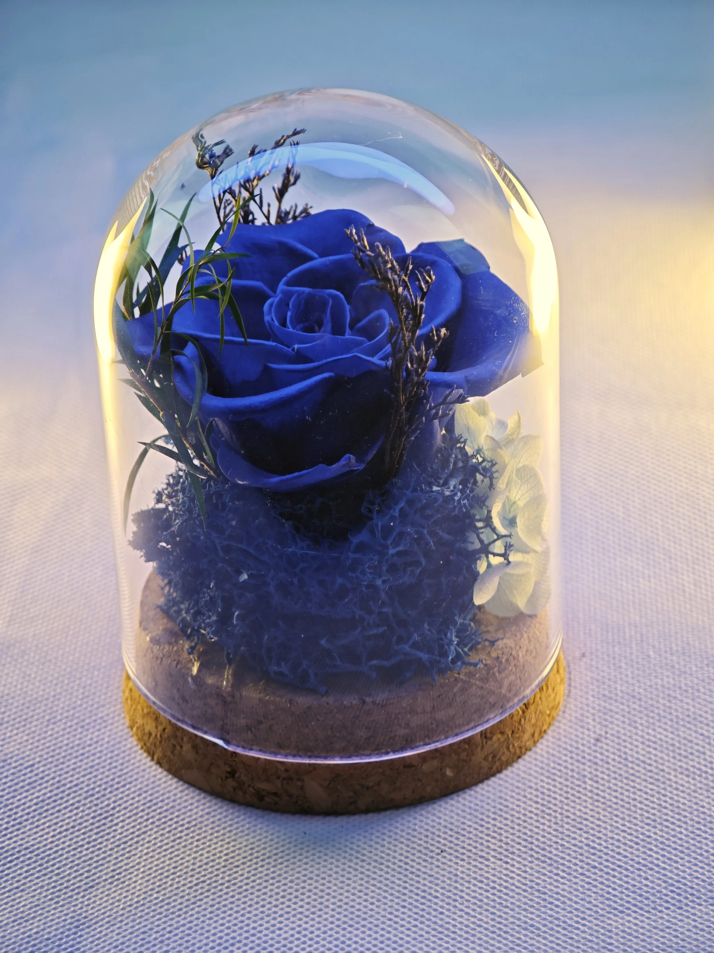 forever rose glass dome preserved flowers (26).jpg