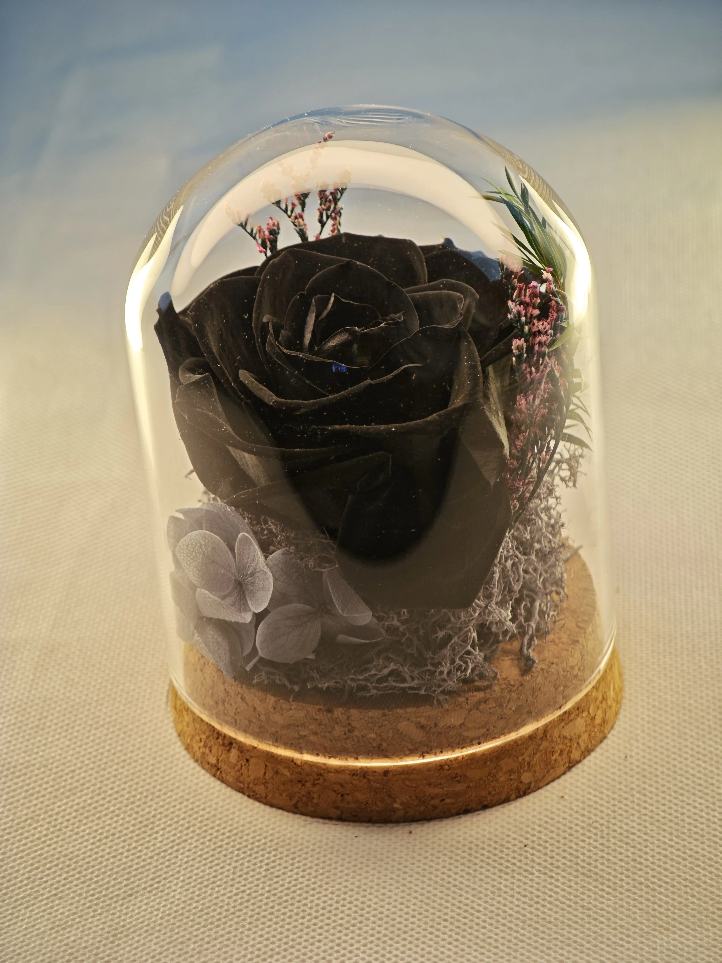 rose in glass dome everlasting romantic keepsake (4).jpg