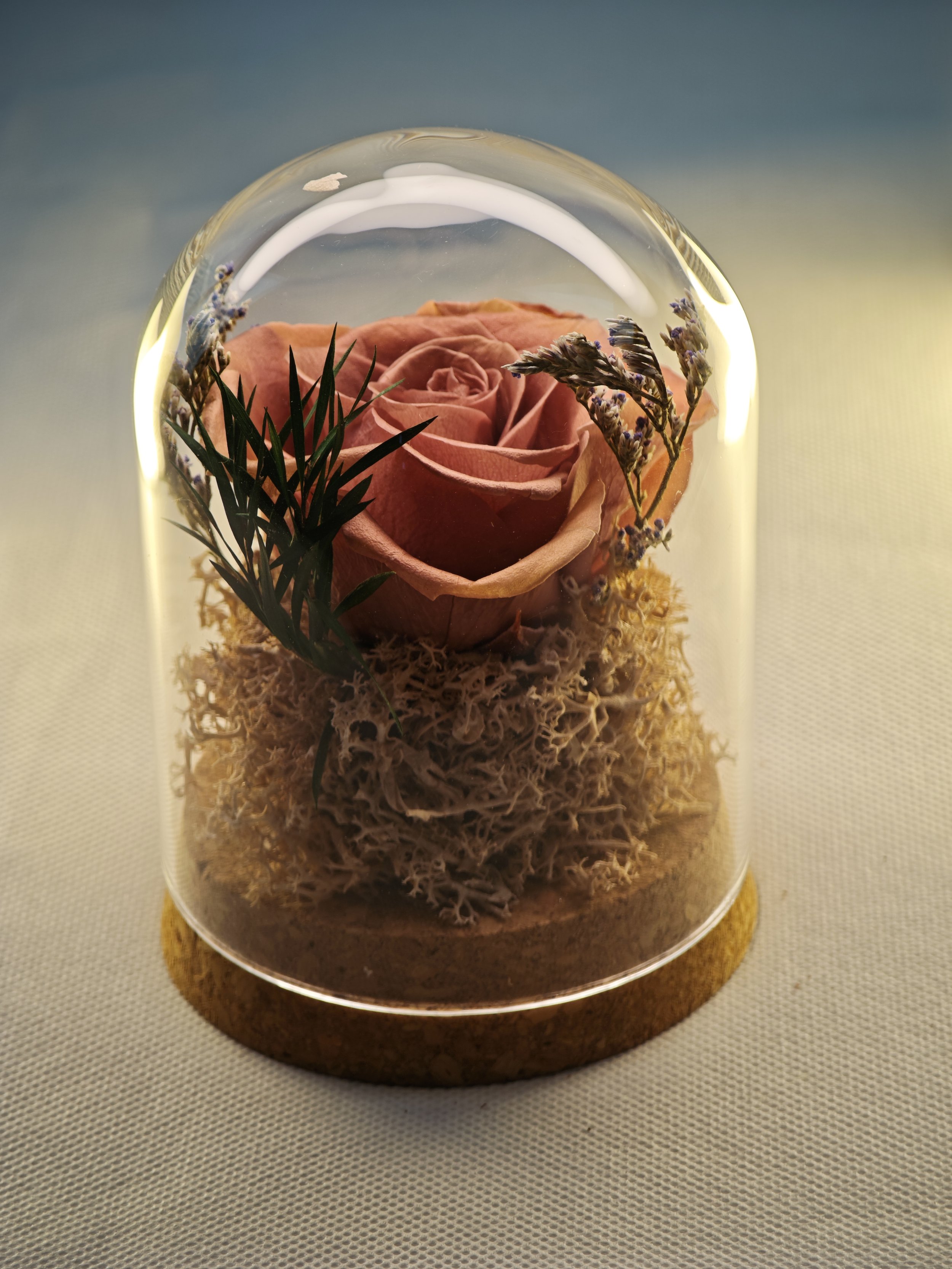 forever rose glass dome preserved flowers (44).jpg