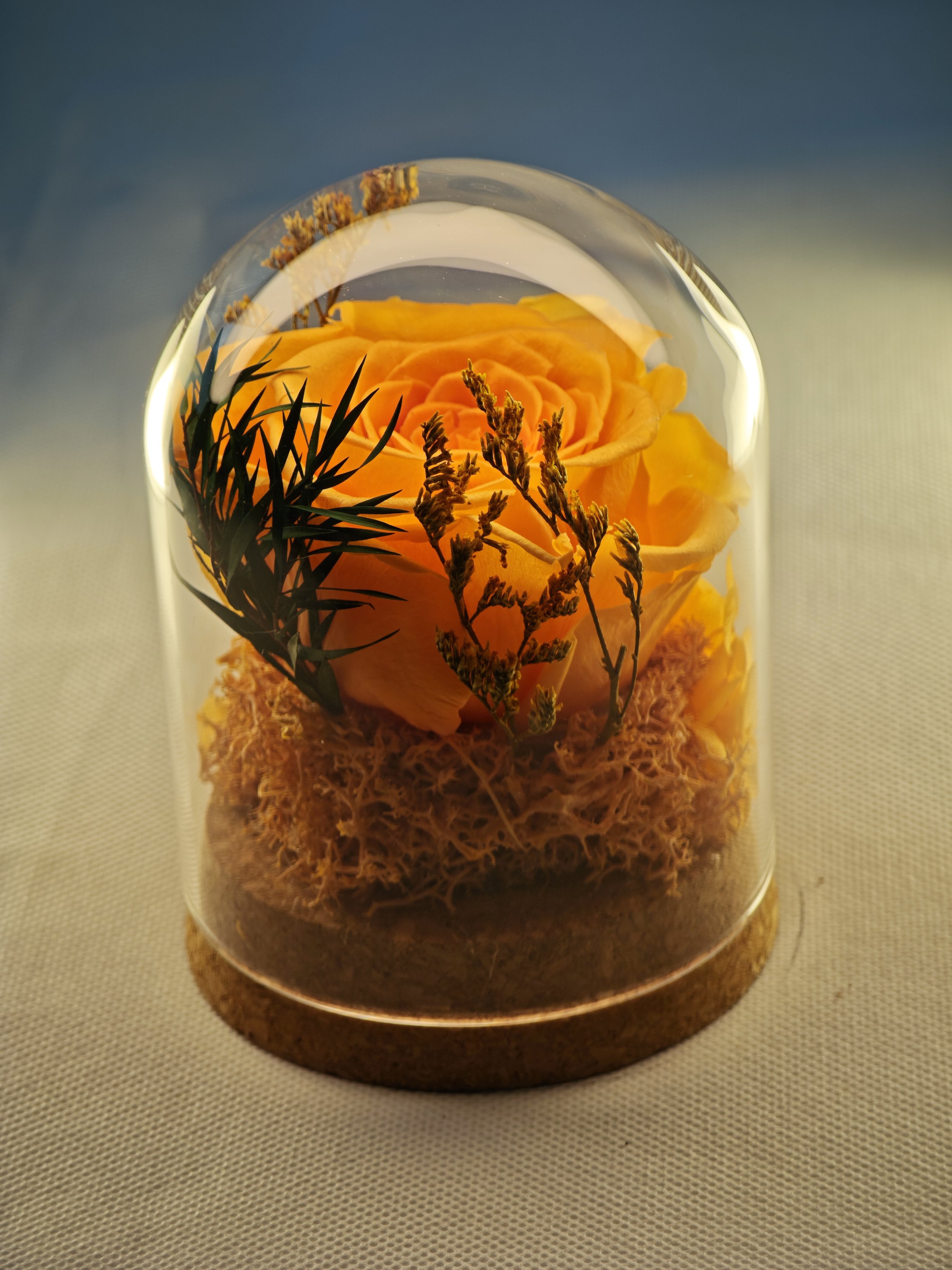 forever rose glass dome preserved flowers (18).jpg