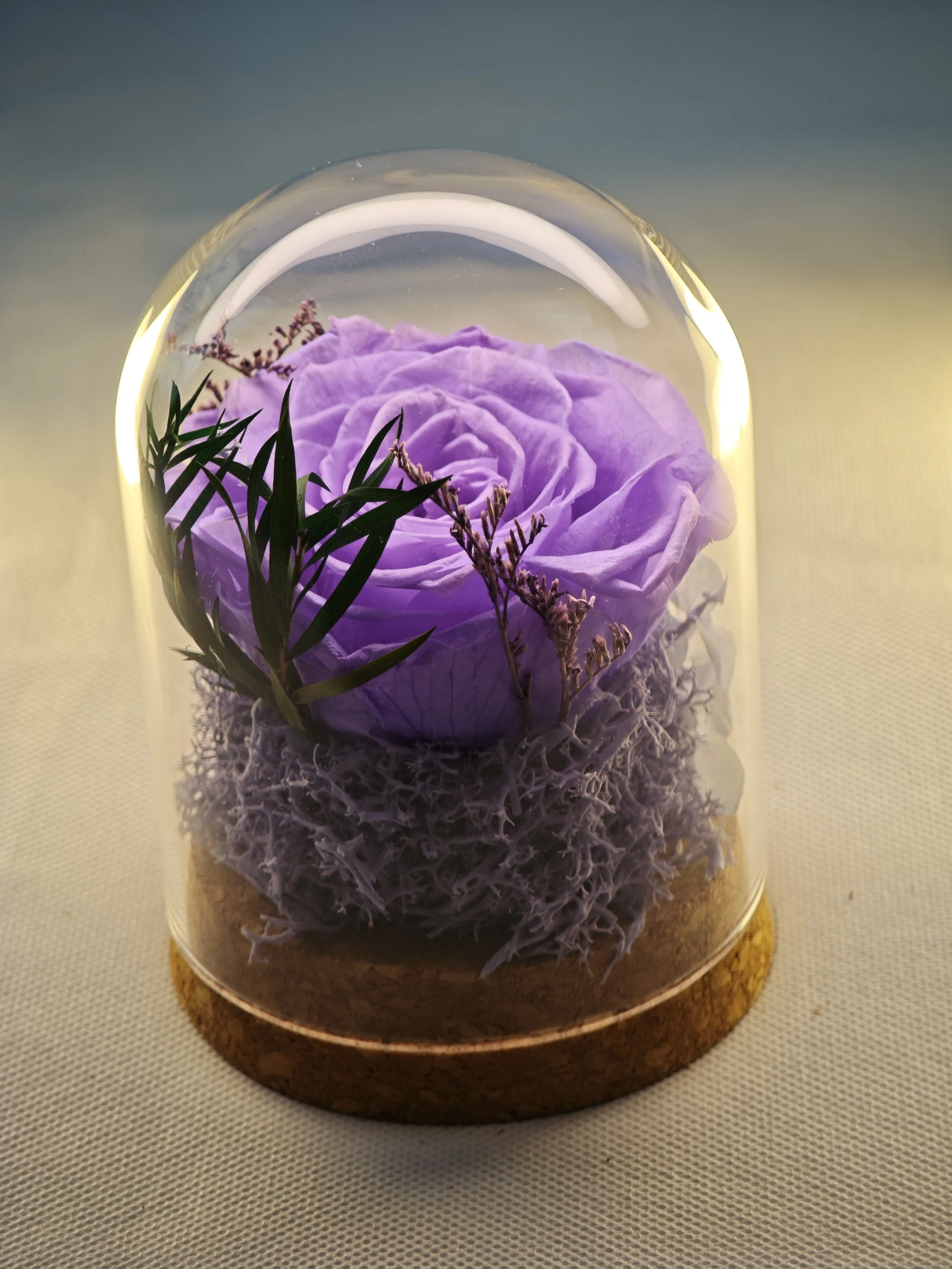 forever rose glass dome preserved flowers (10).jpg