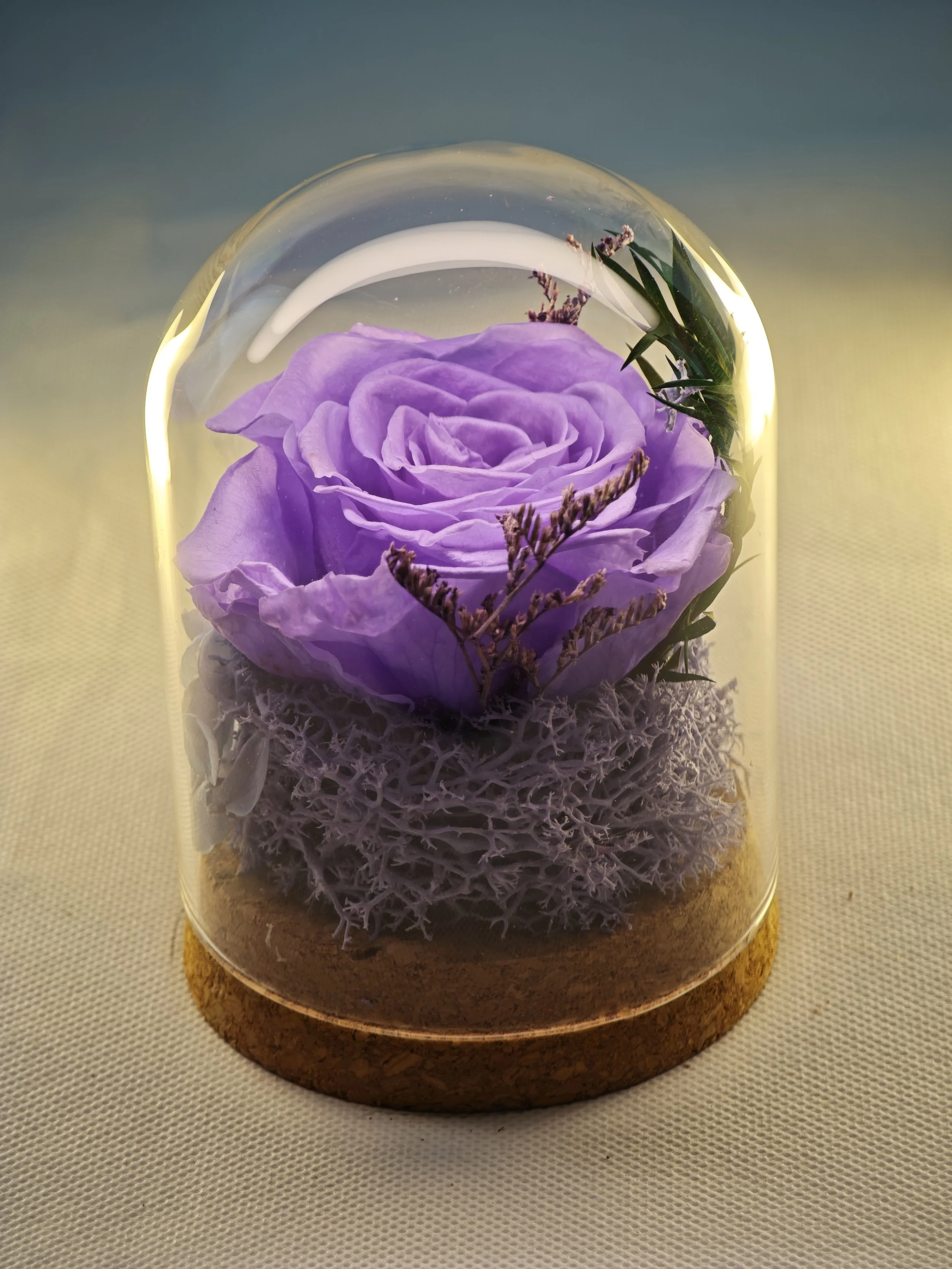 forever rose glass dome preserved flowers (11).jpg