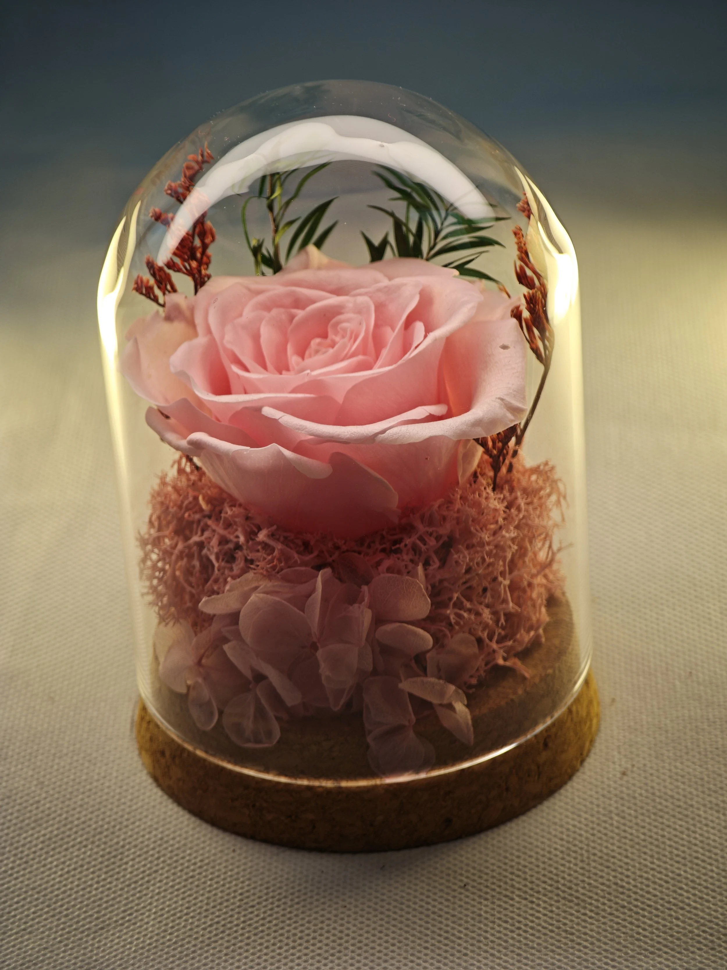 One Love Rose