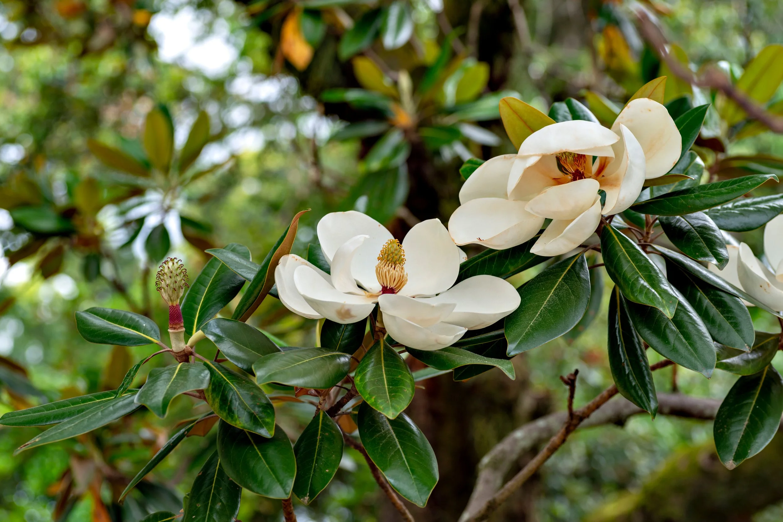 AdobeStock_356658230.jpeg