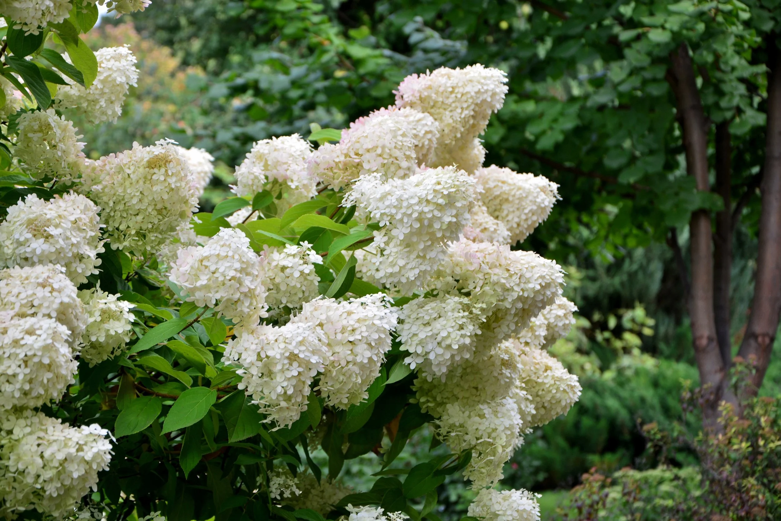 AdobeStock_315281614.jpeg