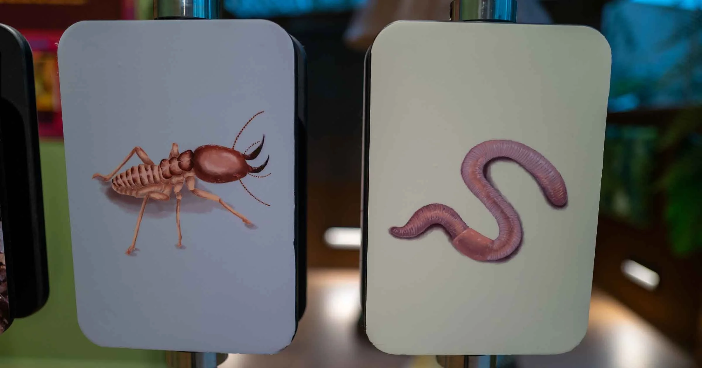 Rotating Interactive Signage 