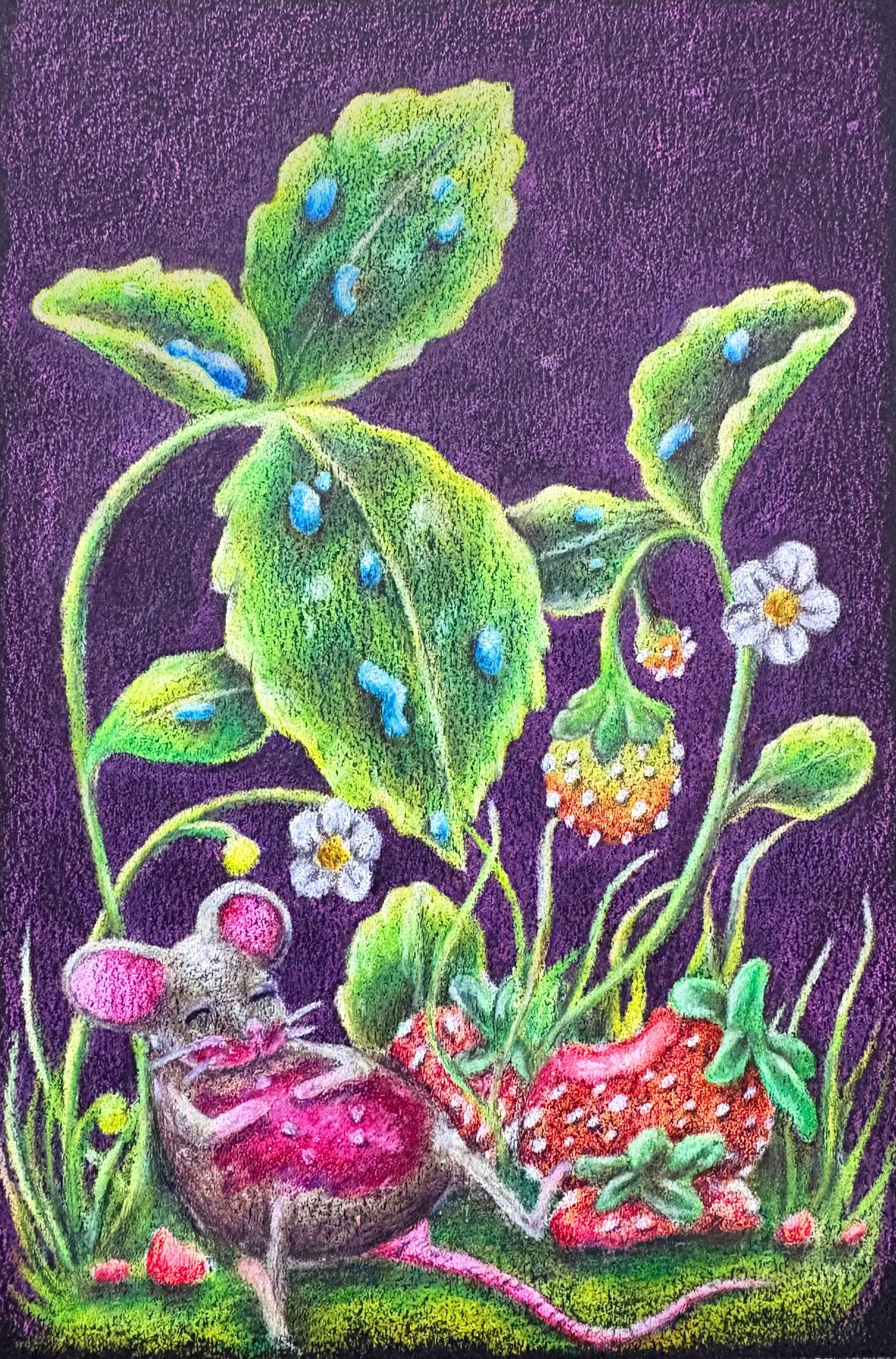 Colorful illustration of a mouse sitting among strawberries, strawberry plants, and flowers with a dark purple background.