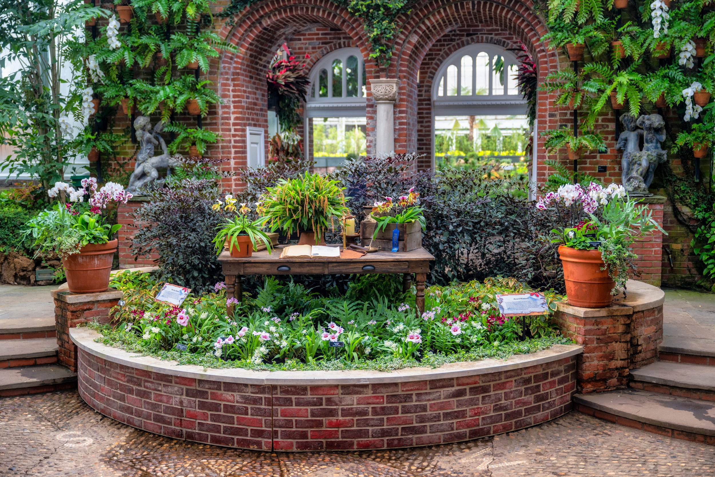 Full display of explorer's table that included the Darwin orchid illustration, journal, magnifying glass and orchids.