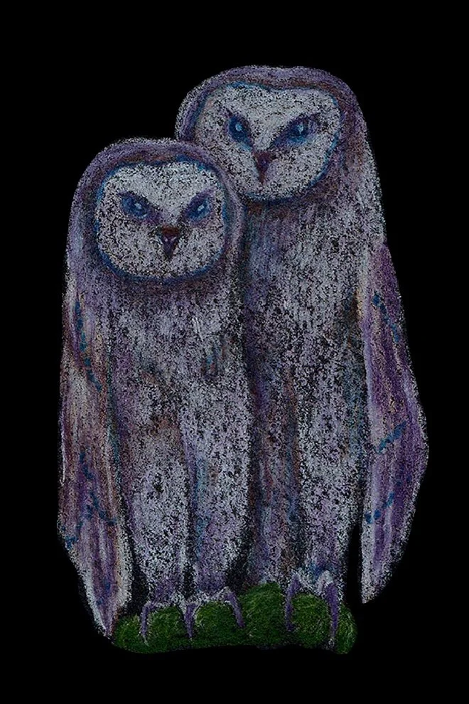 Barn Owls | 2020
