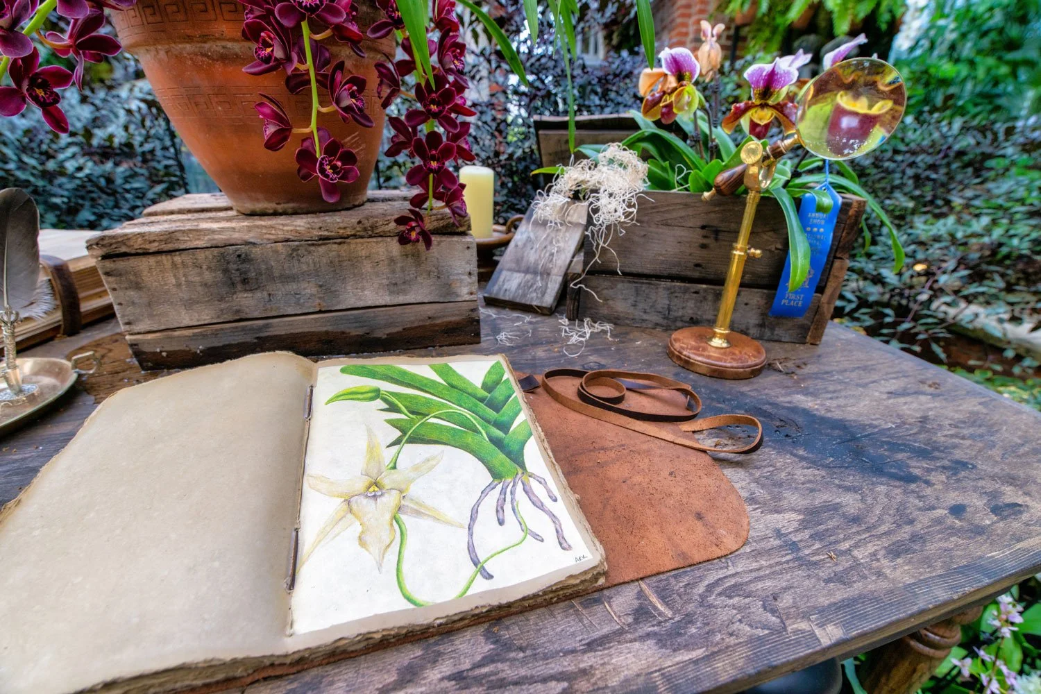 A rustic wooden table with potted orchids and plants, an open botanical sketchbook displaying a detailed drawing of an orchid, a leather strap, and some small decorative items in a garden setting.