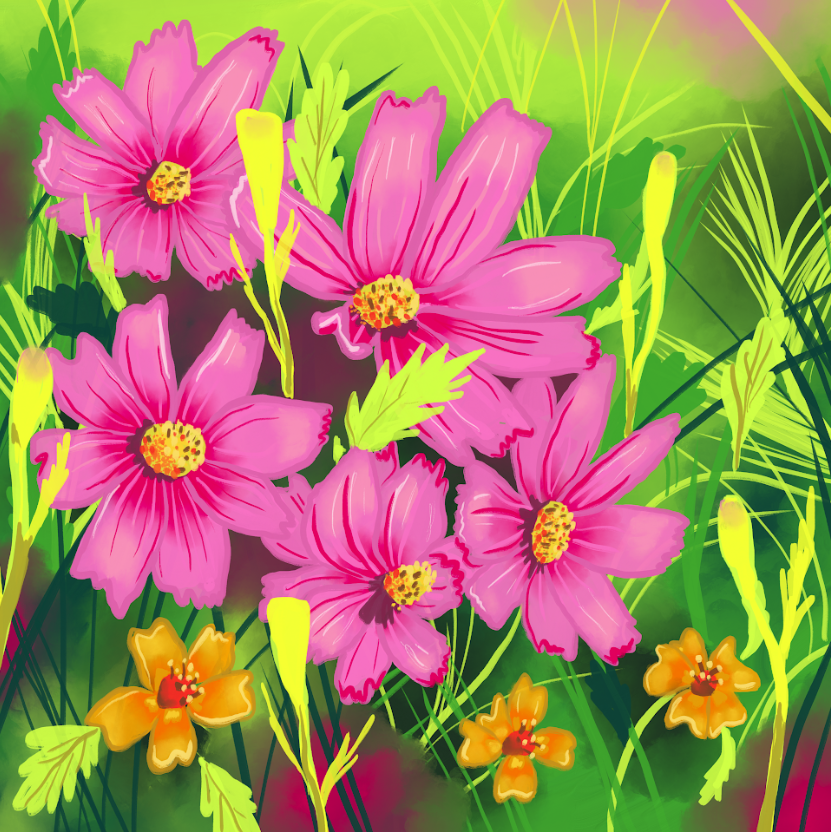 Cosmos and Marigolds, 2025