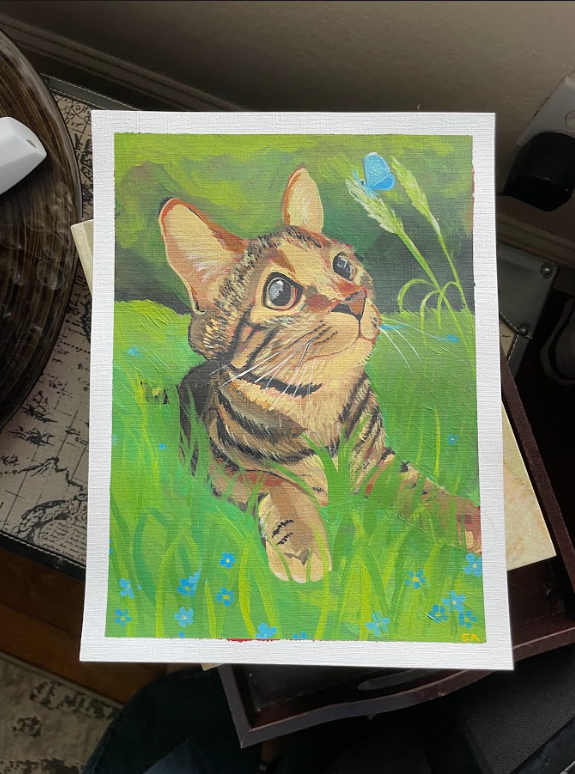 Pet Portraits