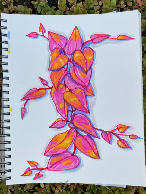Pink Pothos, 2025, 11 x 14, Water-Based Pens &  Paper