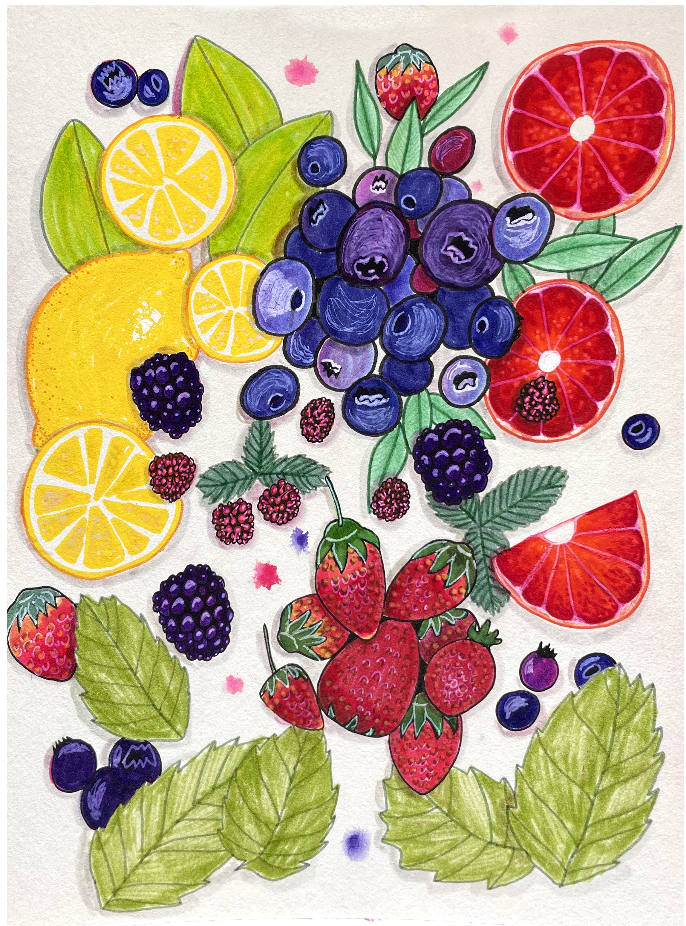 Illustrations