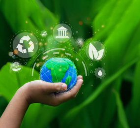 Supply Chain Management