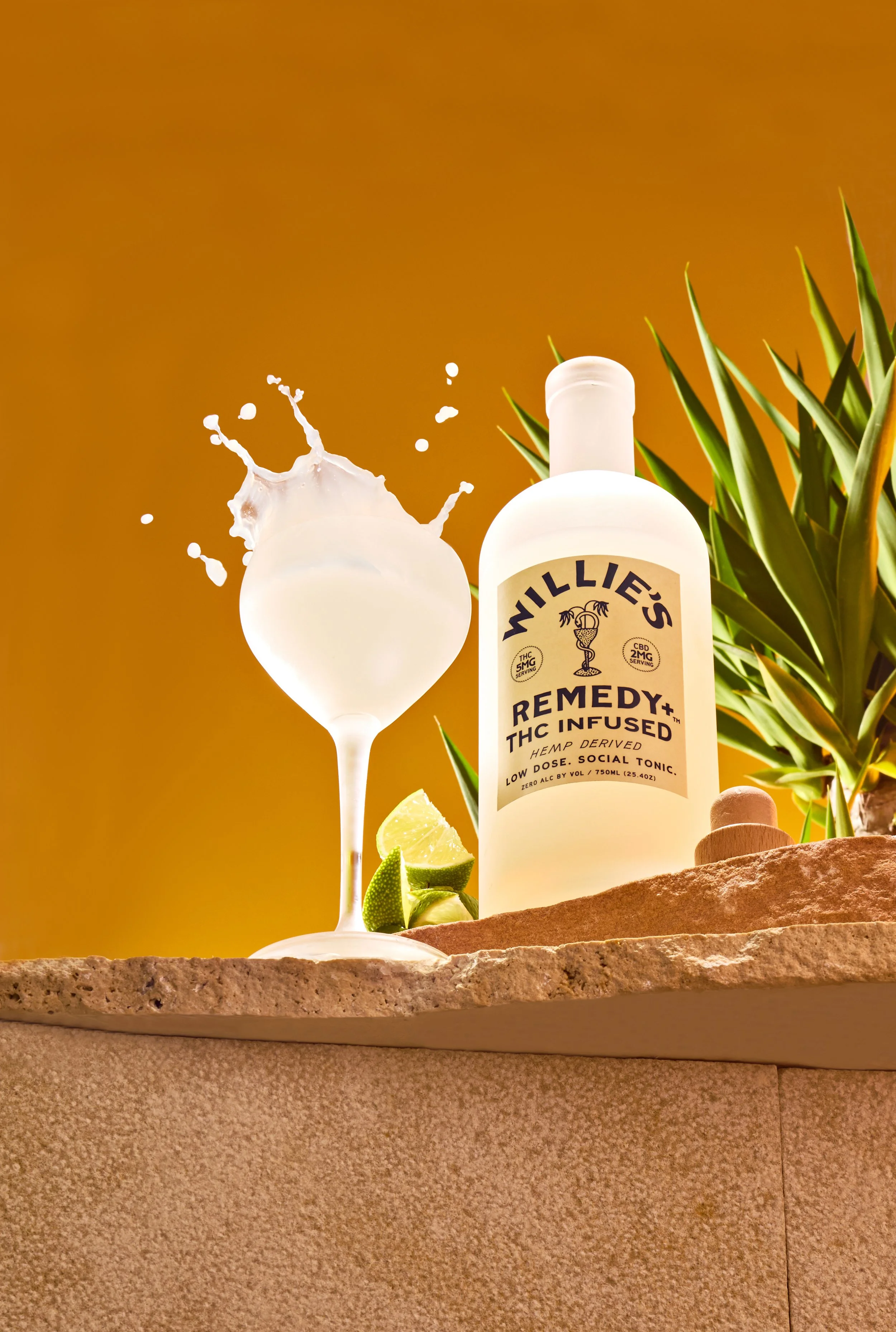 TDAVIS_TDAVIS_WilliesRemedy316 copy_splash.jpg