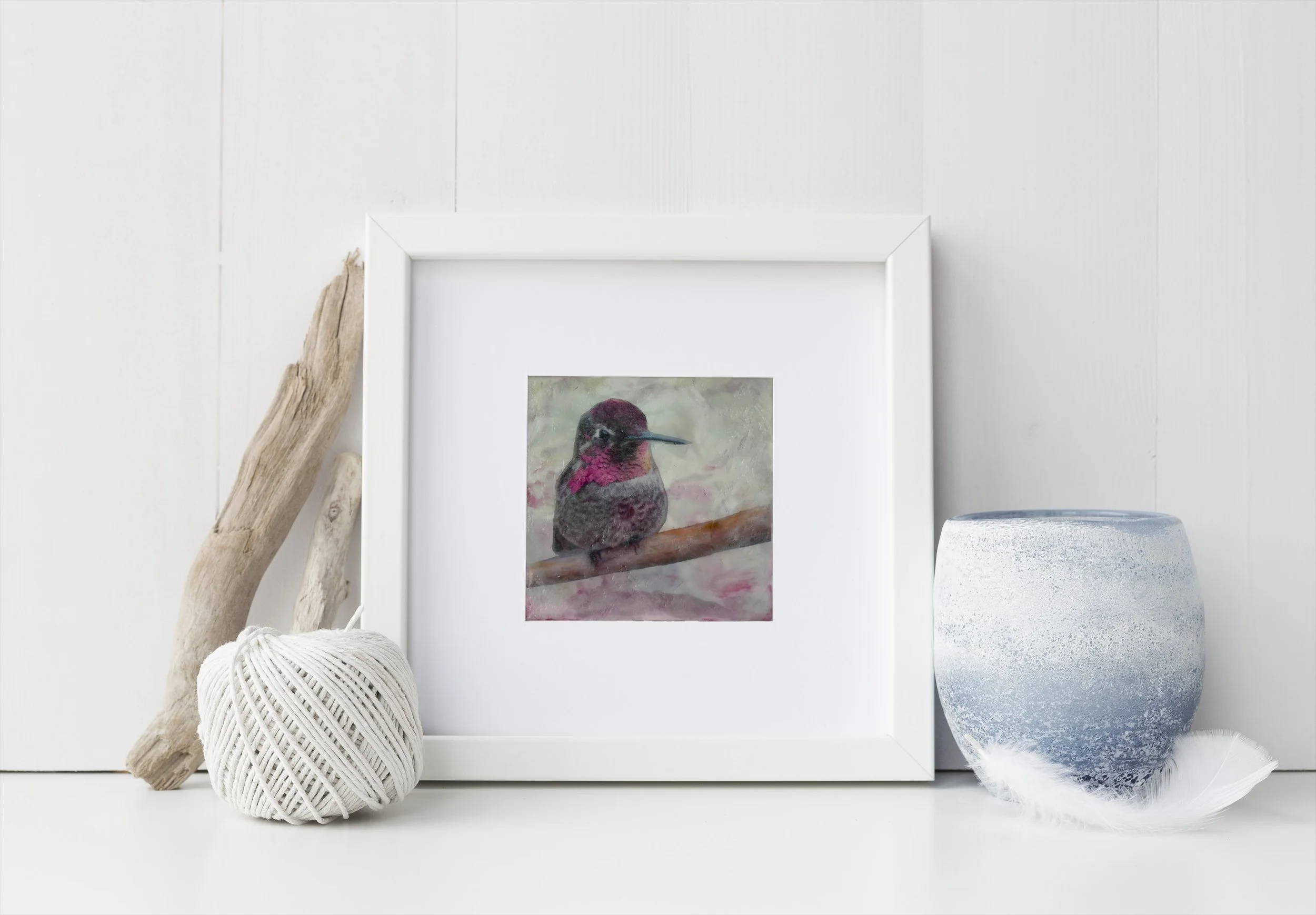 Birds - Anna's Hummingbird