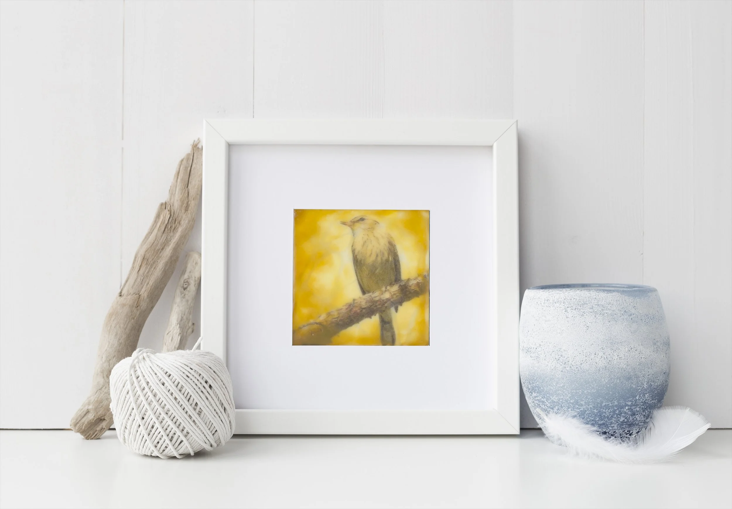 Palm Warbler