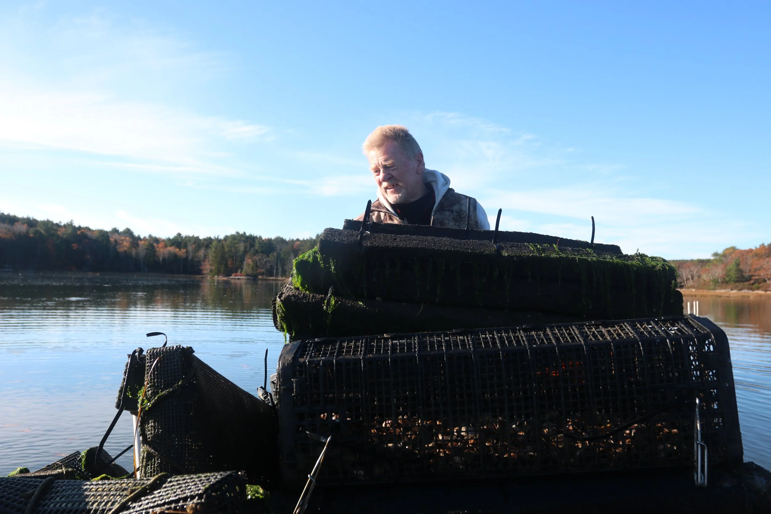Terry's a good sport–I don't know that I would love having someone snapping my picture while I typed. 