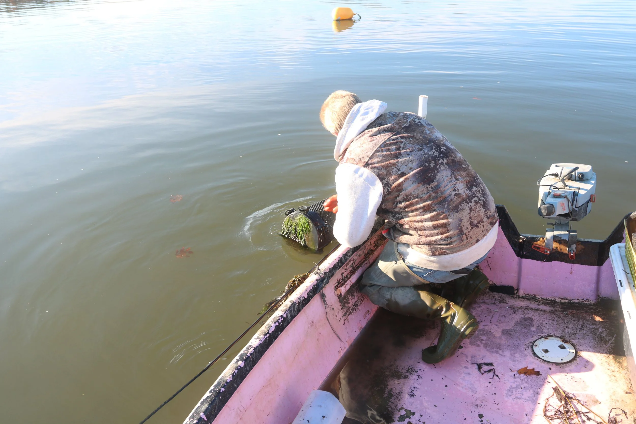 Terry grows oysters from spat out on Spirit Pond, in a variety of bags.