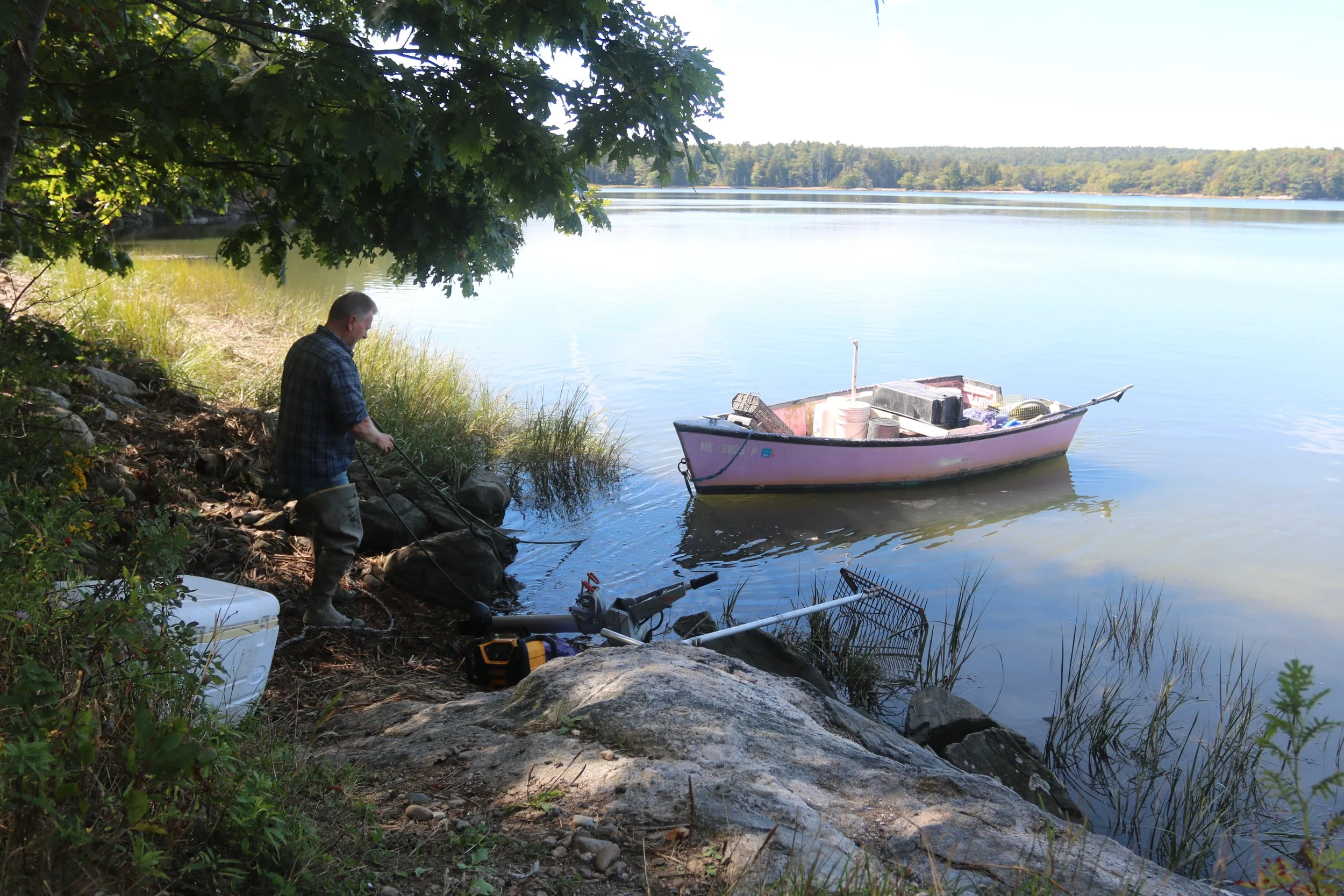 The Steward of the Intertidal
