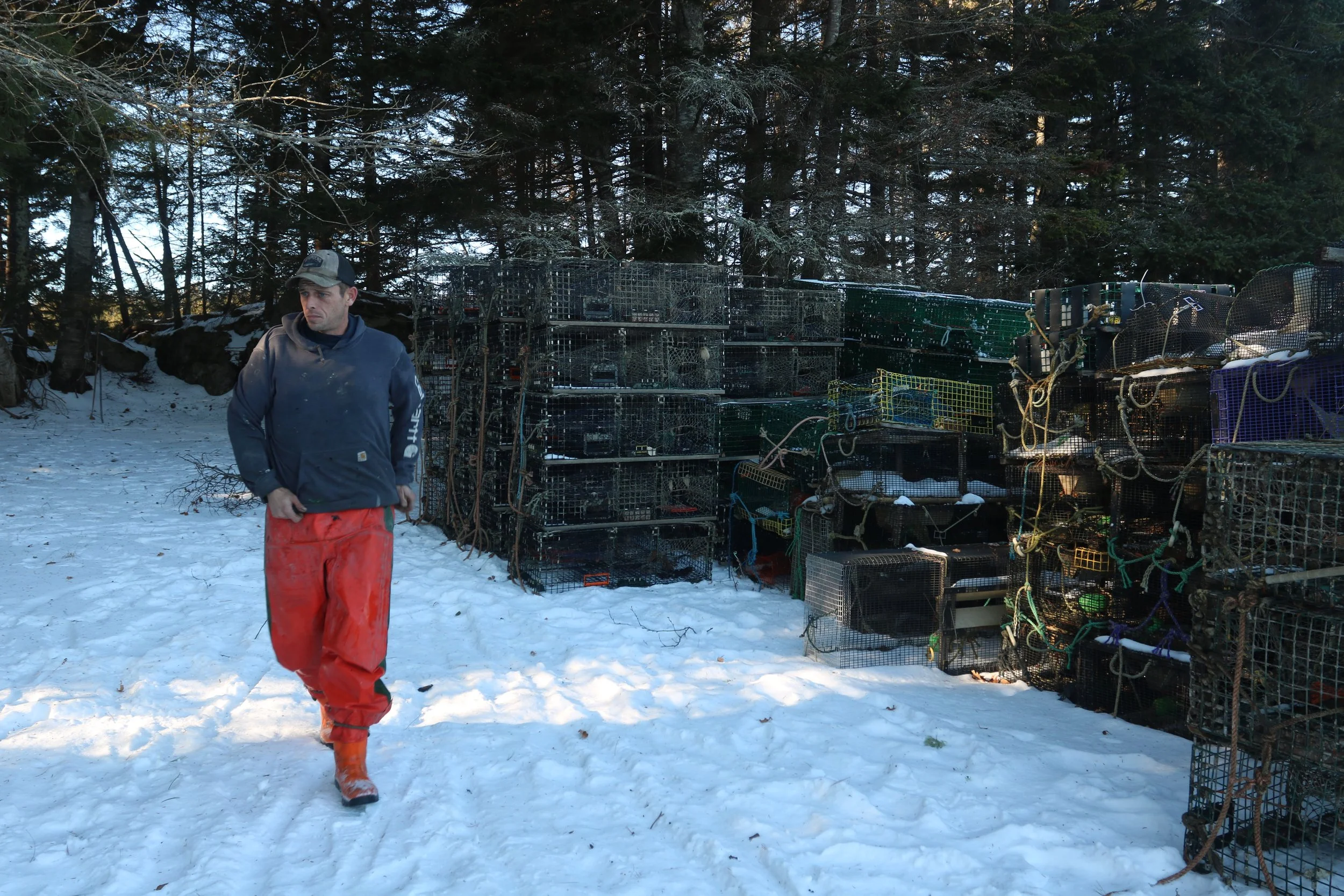 Locus of the Harvest