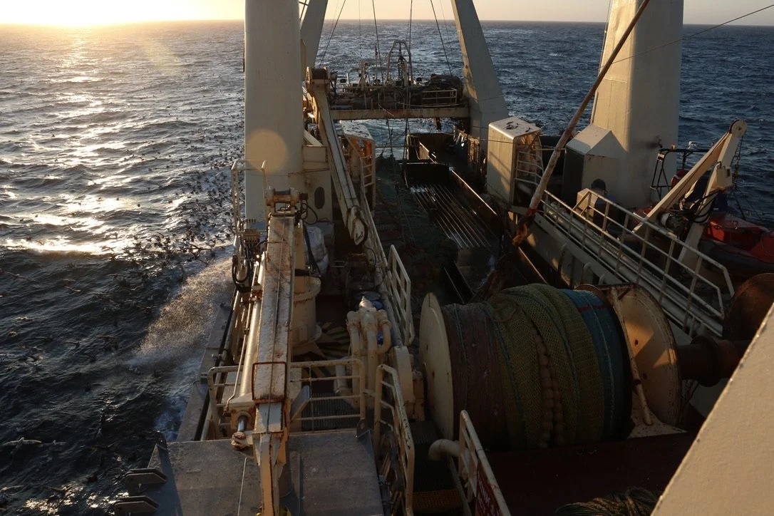 Tangled Marine Industries: Part 1