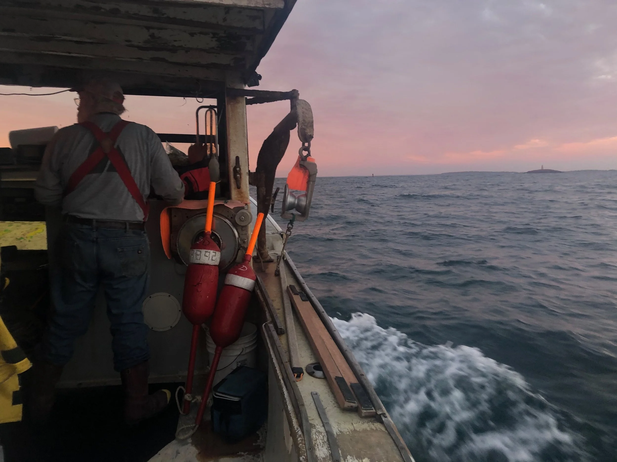 Tangled Industries: 2