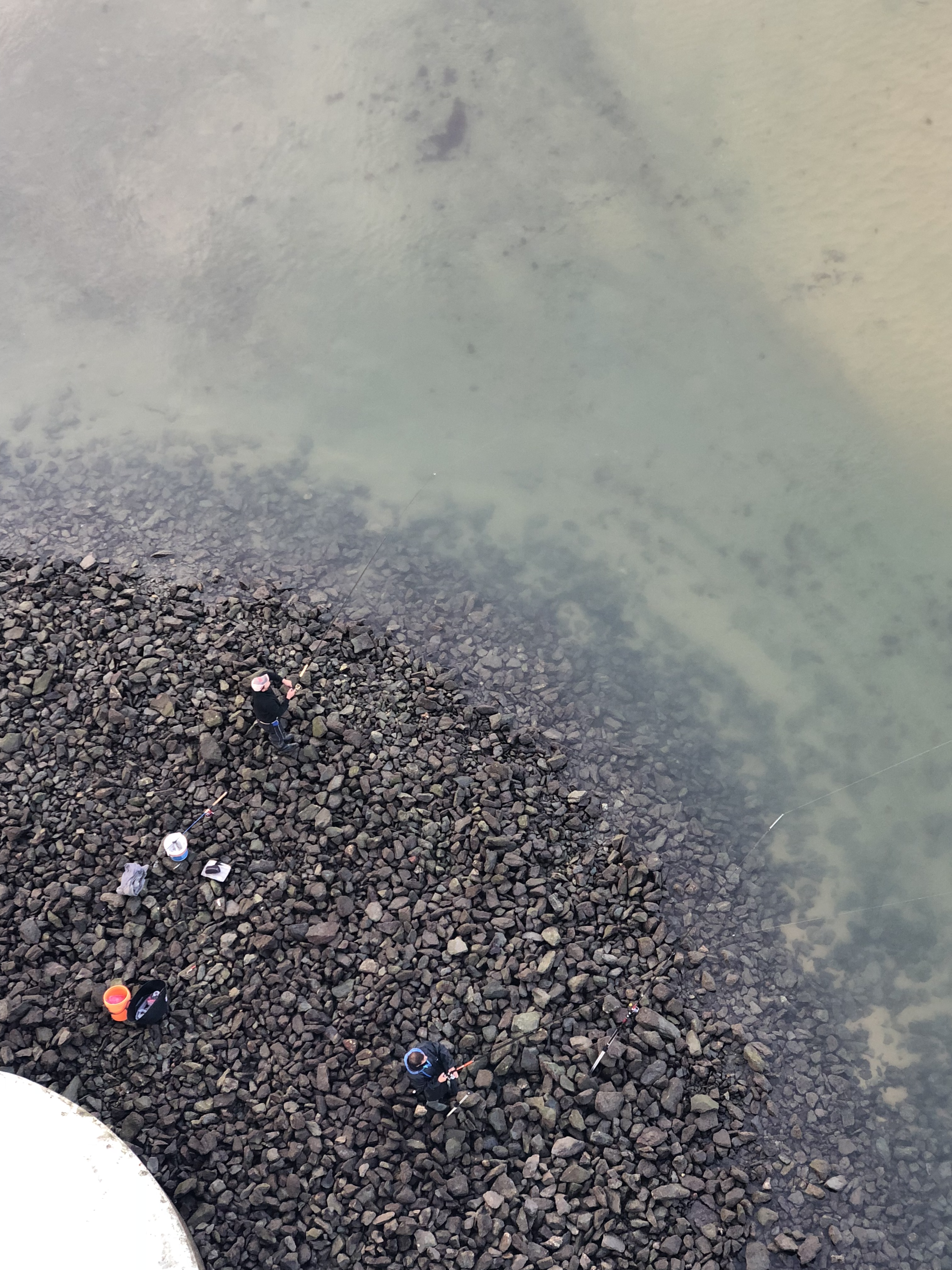 Tangled Industries: 3