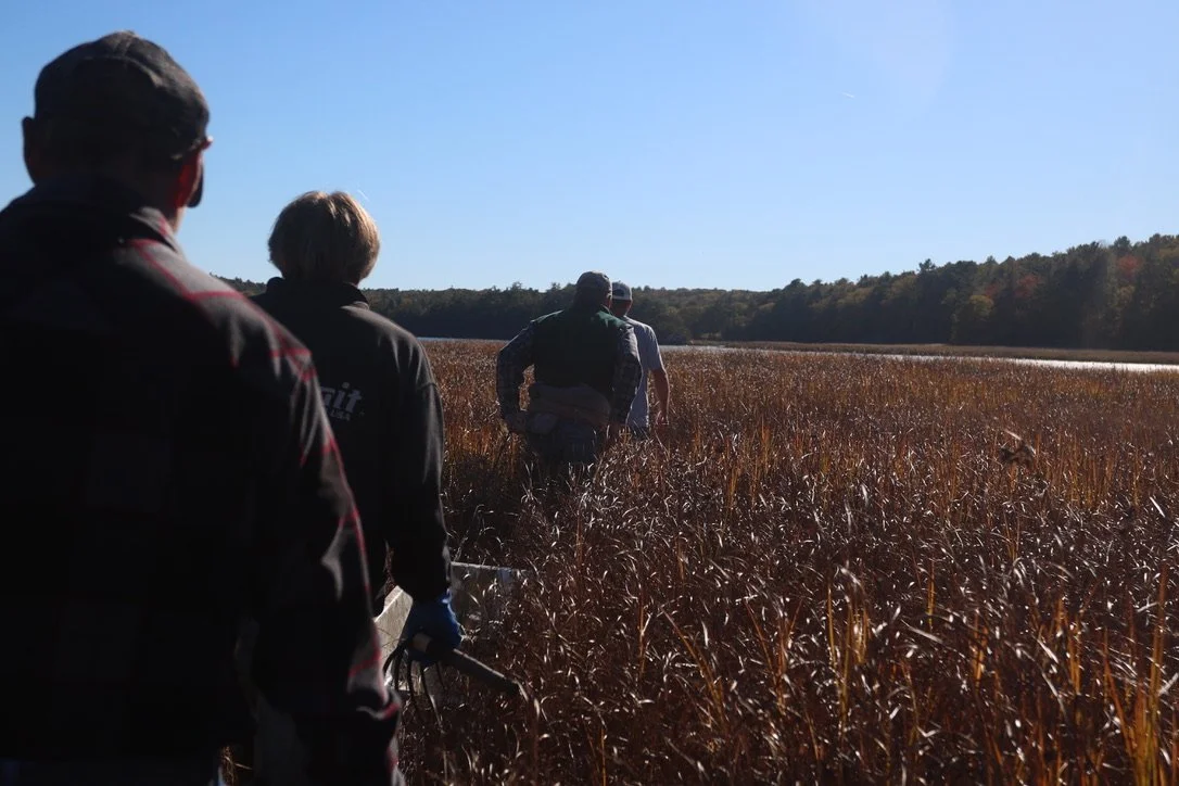 The Balance of Harms