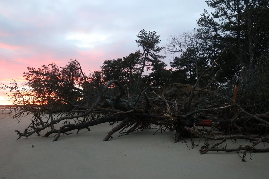 Seasons, Social Tides, and Sea Level Rise