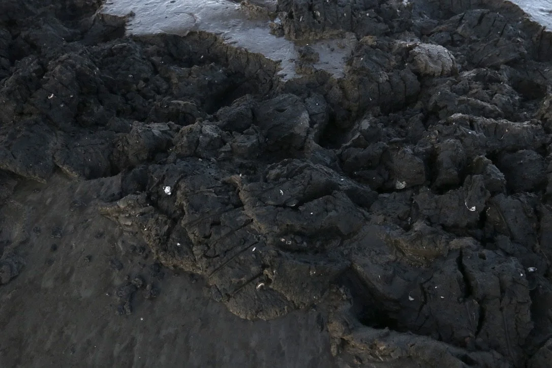 Special Town Vote on September 17th to include proposed Shoreland Ordinance Change