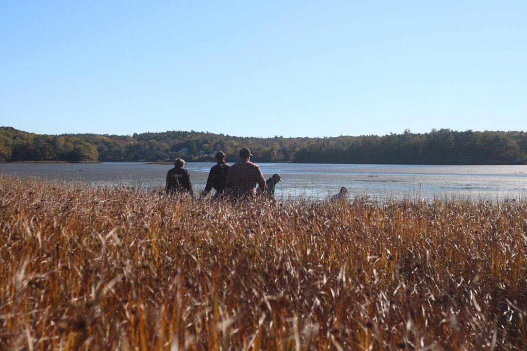 The clammers weighed the timeline of tides against the logistics of boat-use. In the end, they opted to walk a couple miles, through forest, salt marsh and finally out into the mud.