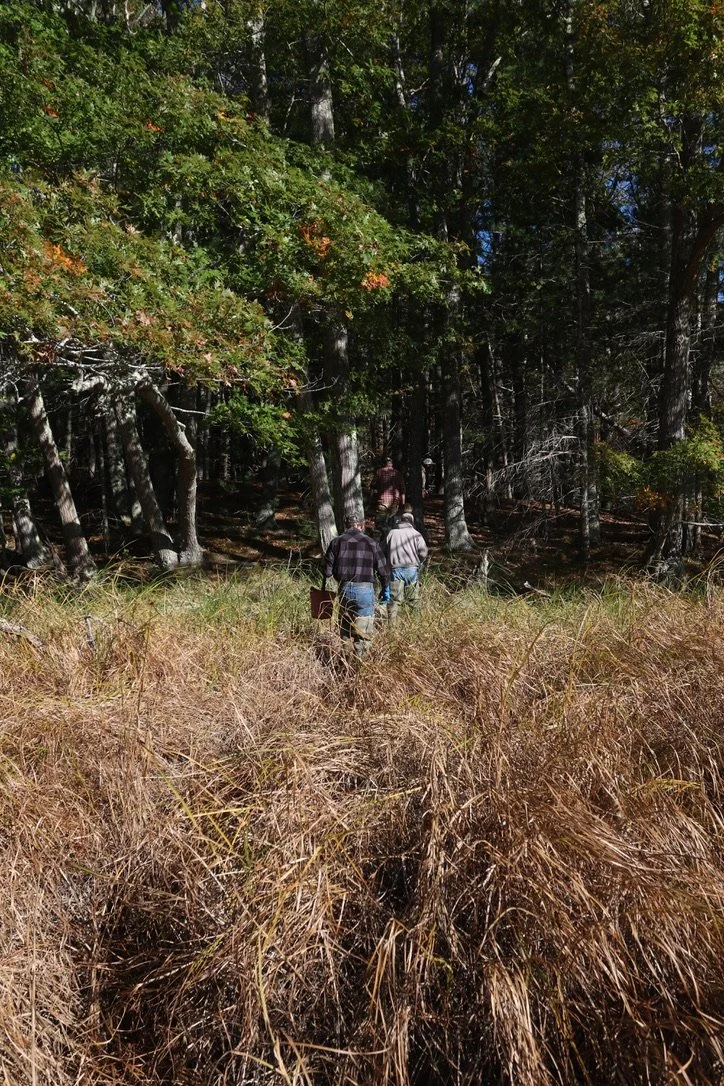 Beginning the long trek out.