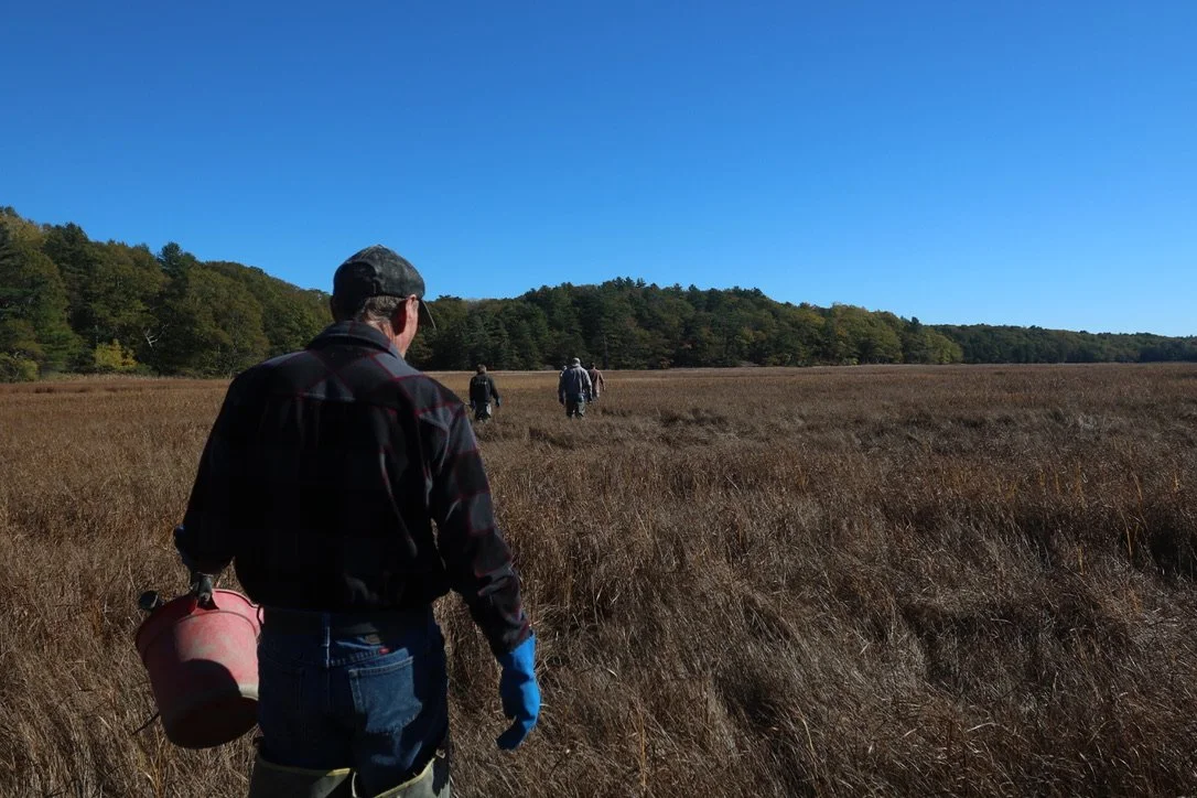 Both times I've been out to the flats with Troy, he makes sure I'm following his footsteps, that I know how to move in this inherently tricky space of grass, mud and surprising hole. It's immensely comforting guidance!