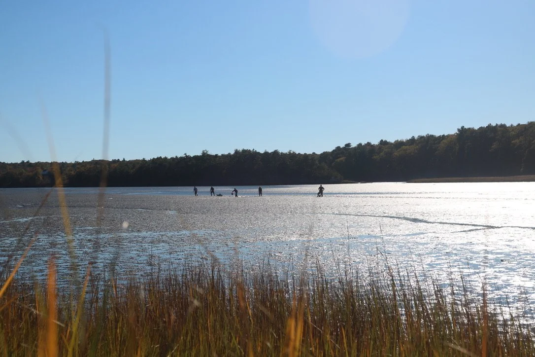 They walked until they disappeared into the distance, too far for me or my camera to follow or find them. Thankfully, now I have waders and can struggle along behind them.