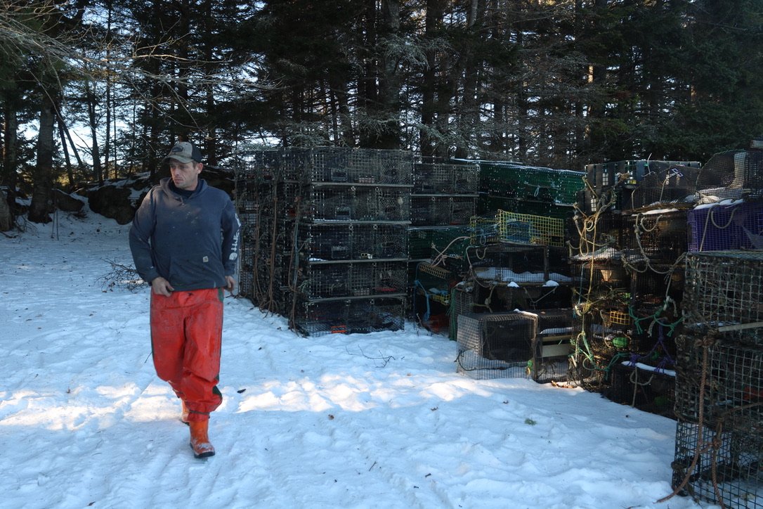 Malaga Island traps.