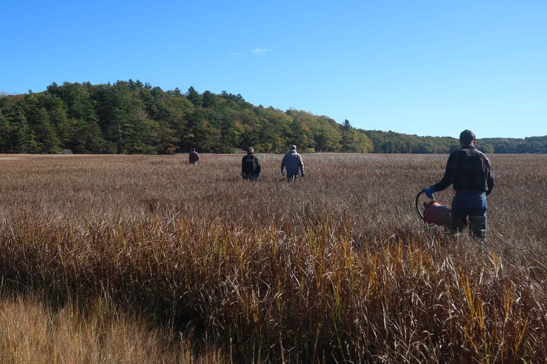 Getting out to the flats is tricky, somewhat arduous. 