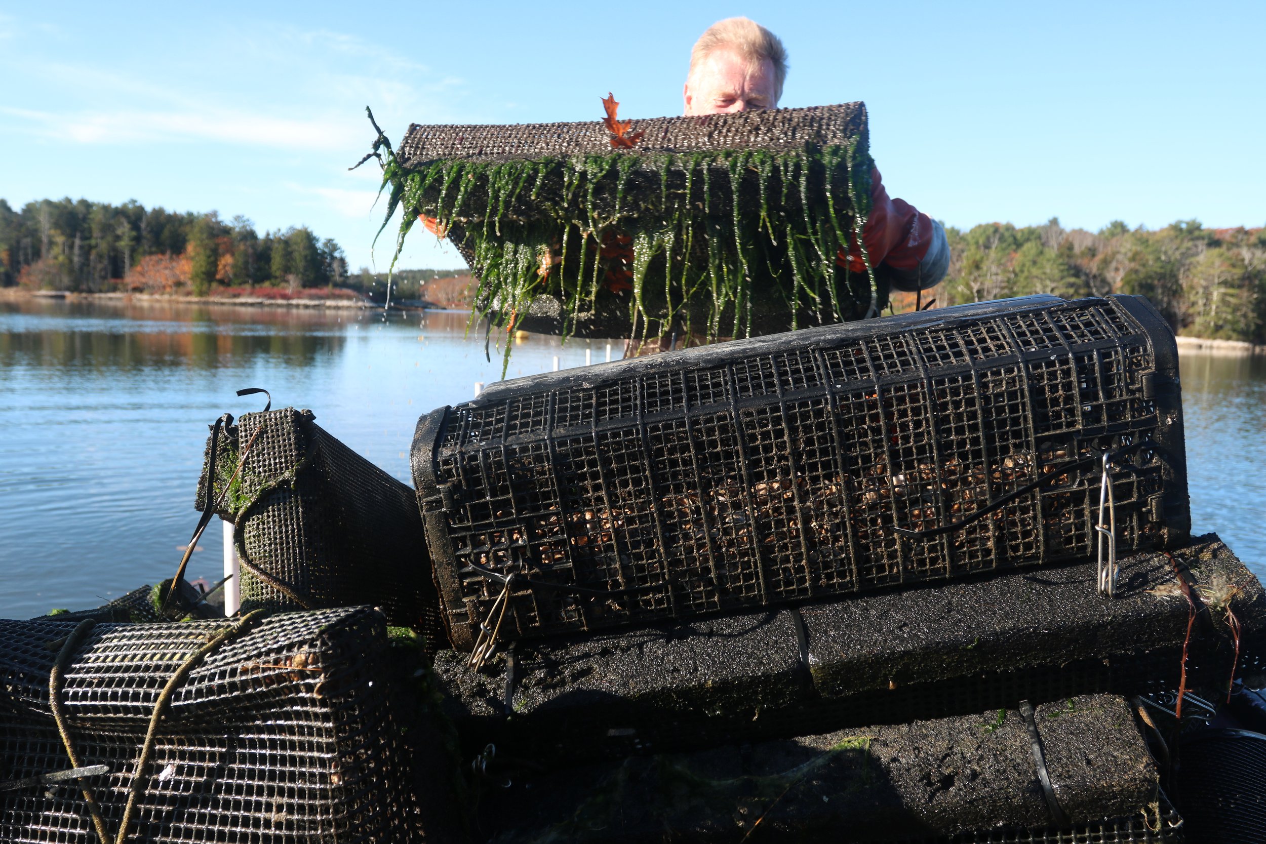 There's nothing idle about marine work. 
