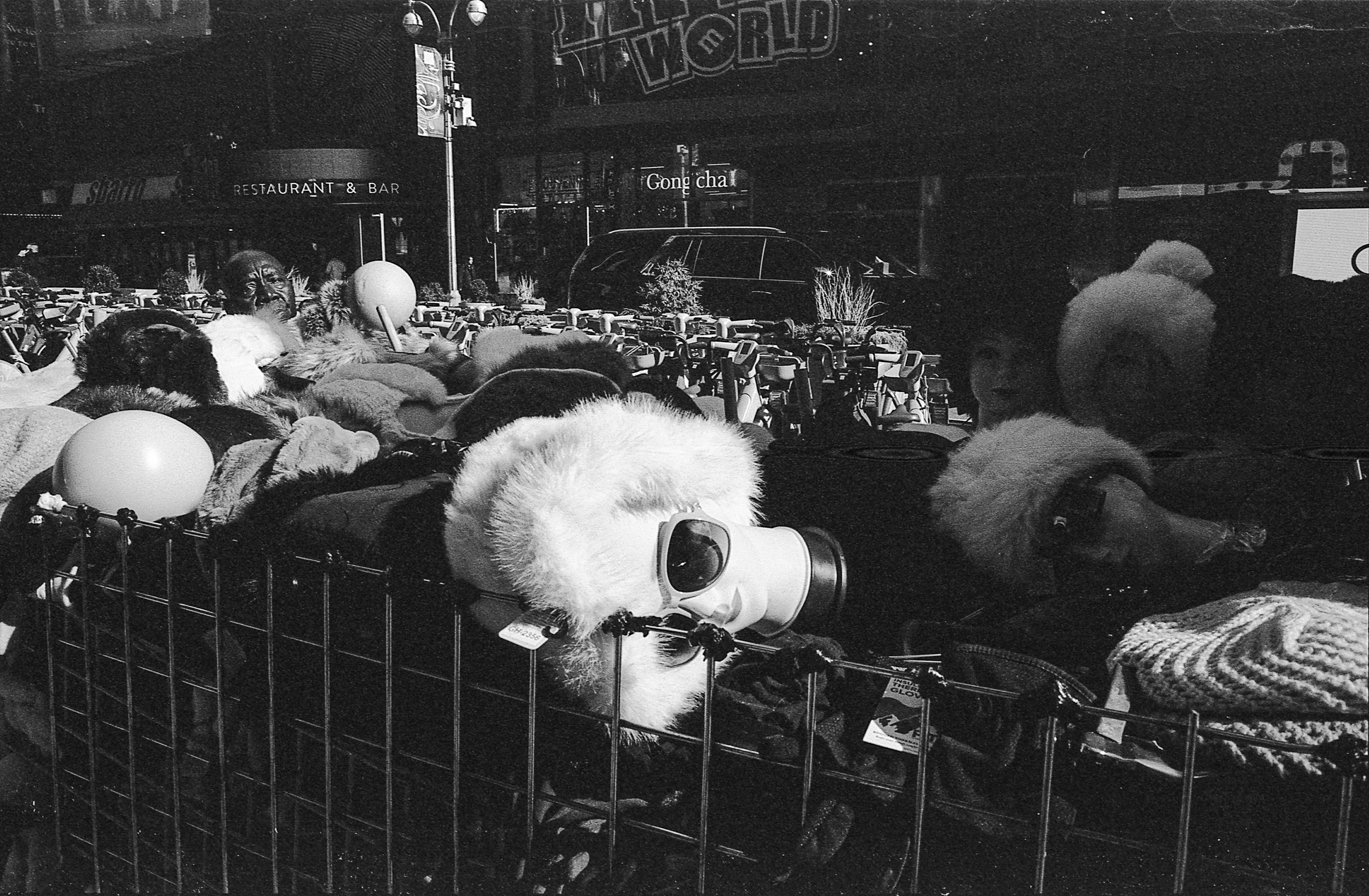 A black and white photo of a crowd of dogs wearing winter fur and clothing, standing behind a metal fence in an urban street scene with parked cars and illuminated signs in the background.