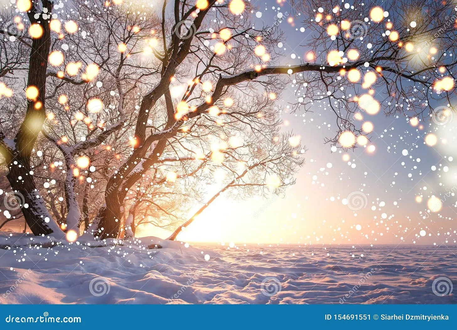 The Season When Joy Finds a Way