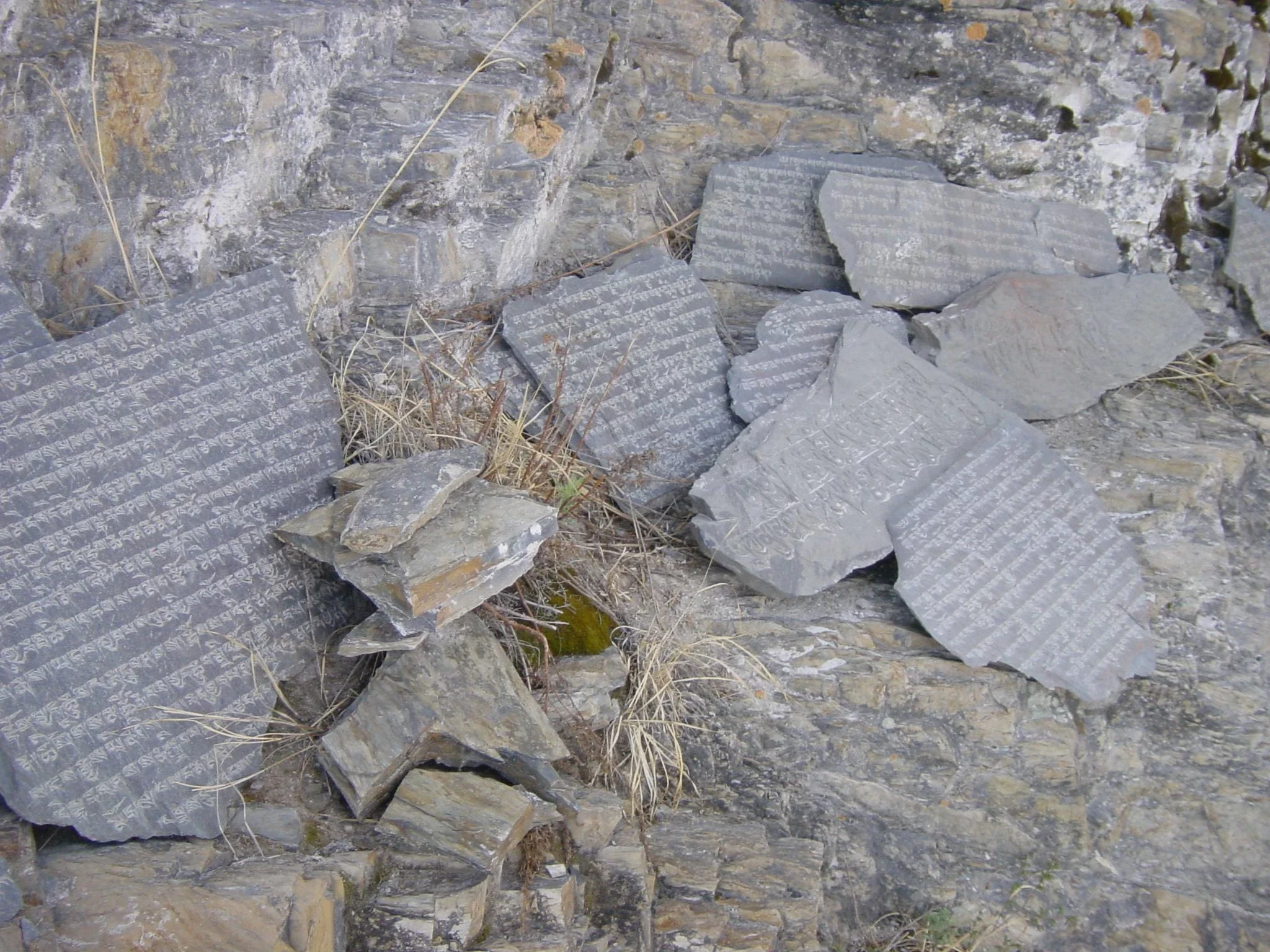 What Do We Do After Something Breaks?