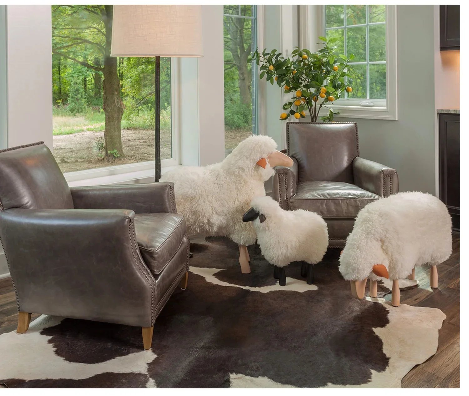 Would You Bring a Sheep into Your House?