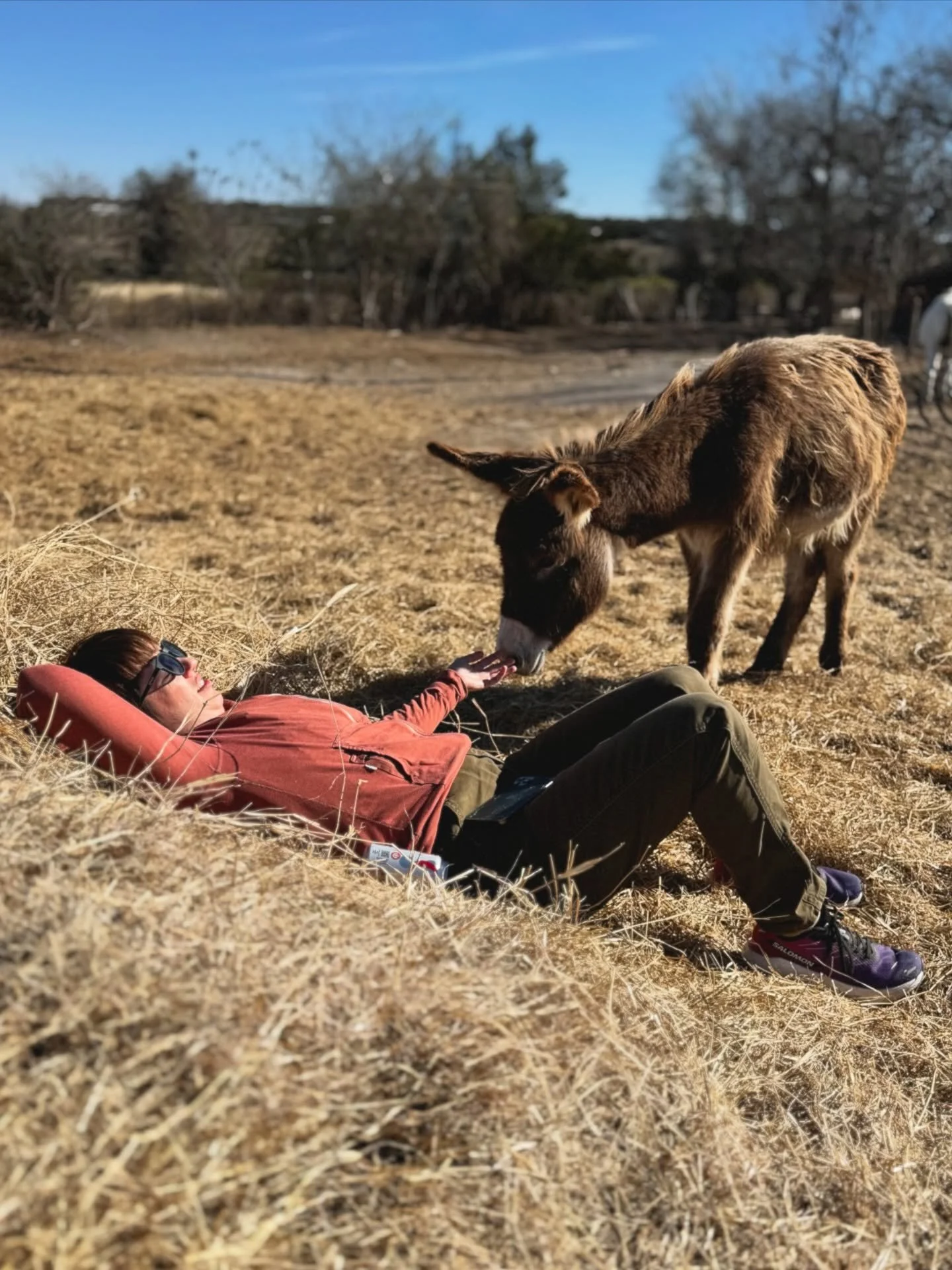 Laying in the hay, the afternoon slow,
Donkey is fluffy, where the soft breezes go.

Clouds drift lazily, nowhere to be,
Time loosens its grip, lets Donkey and me be.

No rush, no reason, no need to move on,
Just hay, my Donkey, and the generous sun.