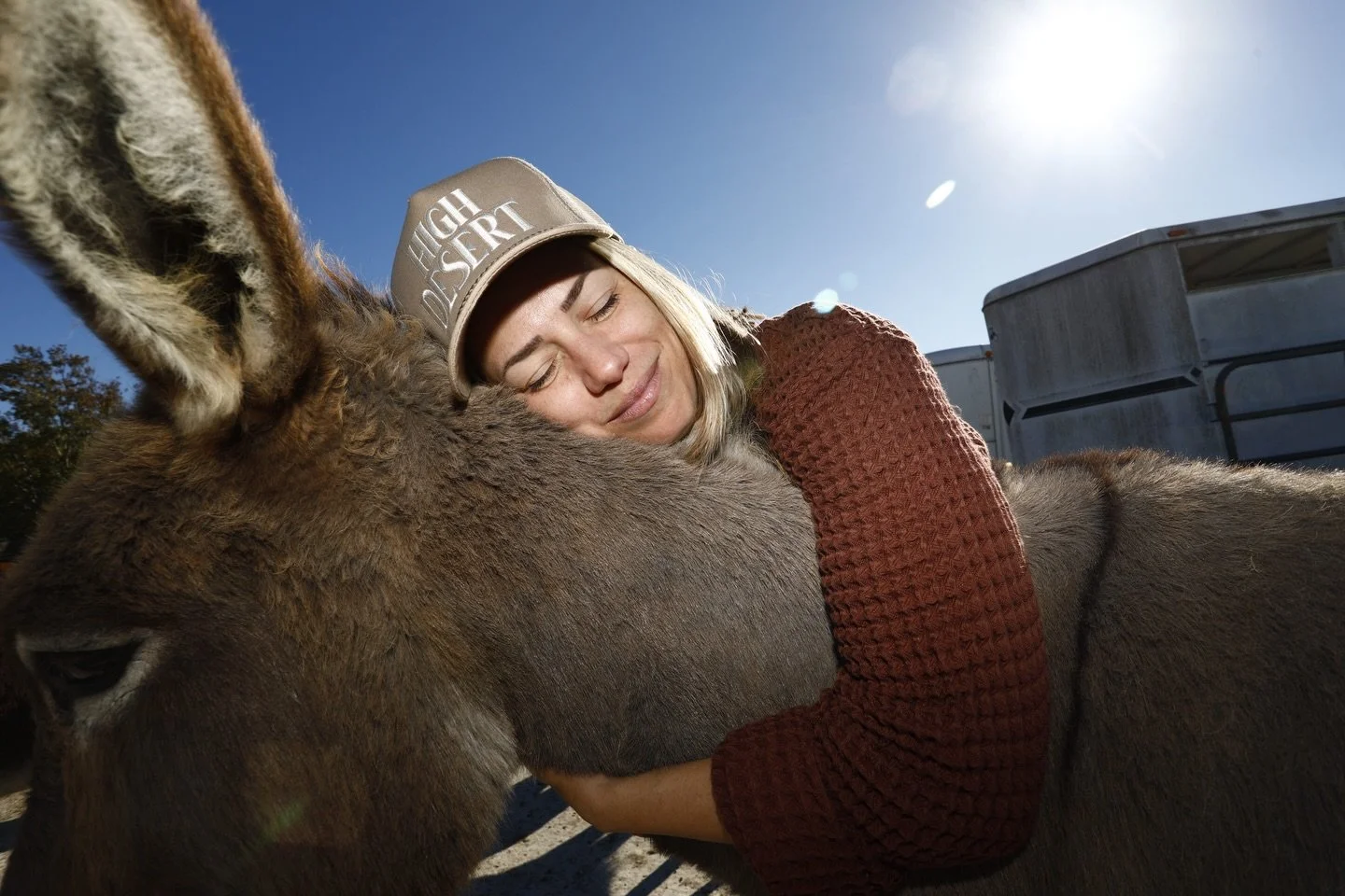 Life is short, HUG A DONKEY
🫏 Check out new website! 
bluemoonsanctuary.org 🤗