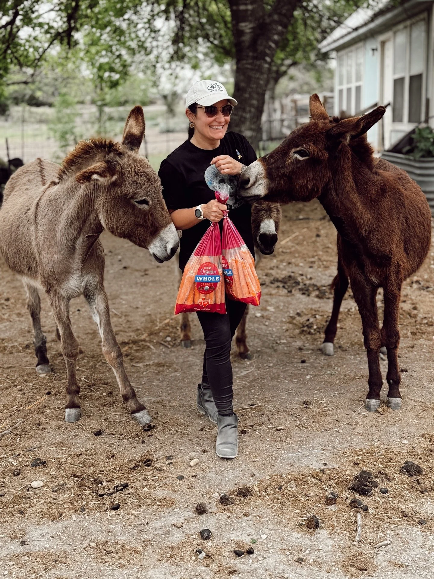 Volunteer Day! 🤝🪏🪮 

We had folks from Denver visiting, a family whose kiddo fell in love with the horses, a newcomer to Georgetown, a couple from Arizona and a ranch lover all join us. And boy did we get a lot done together!!!! ☑️ 💪 

I think en