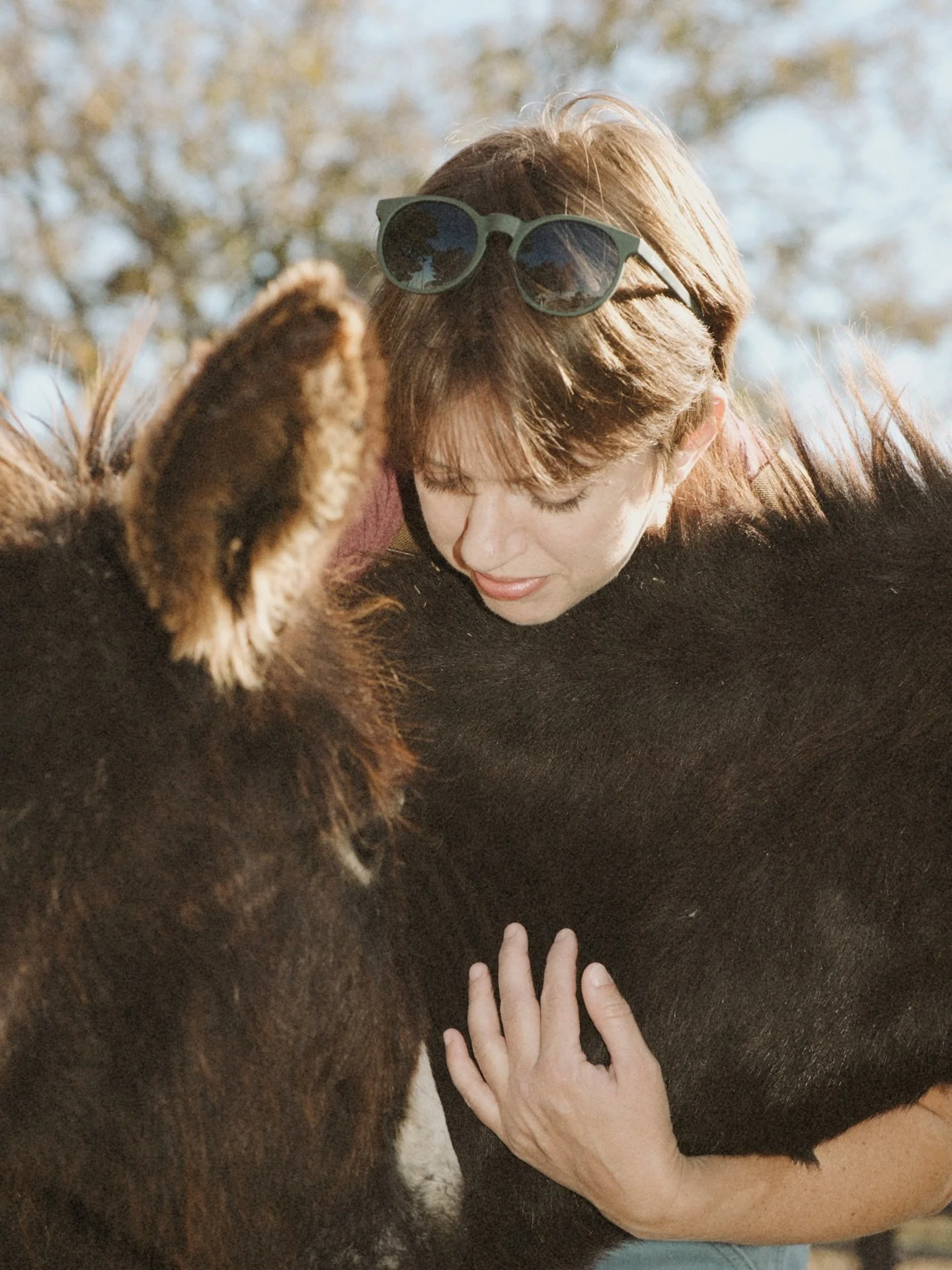 Hugging a donkey clinically lowers your stress by 100%.
It&rsquo;s science. I don&rsquo;t make the rules. Read a book 📖 📉