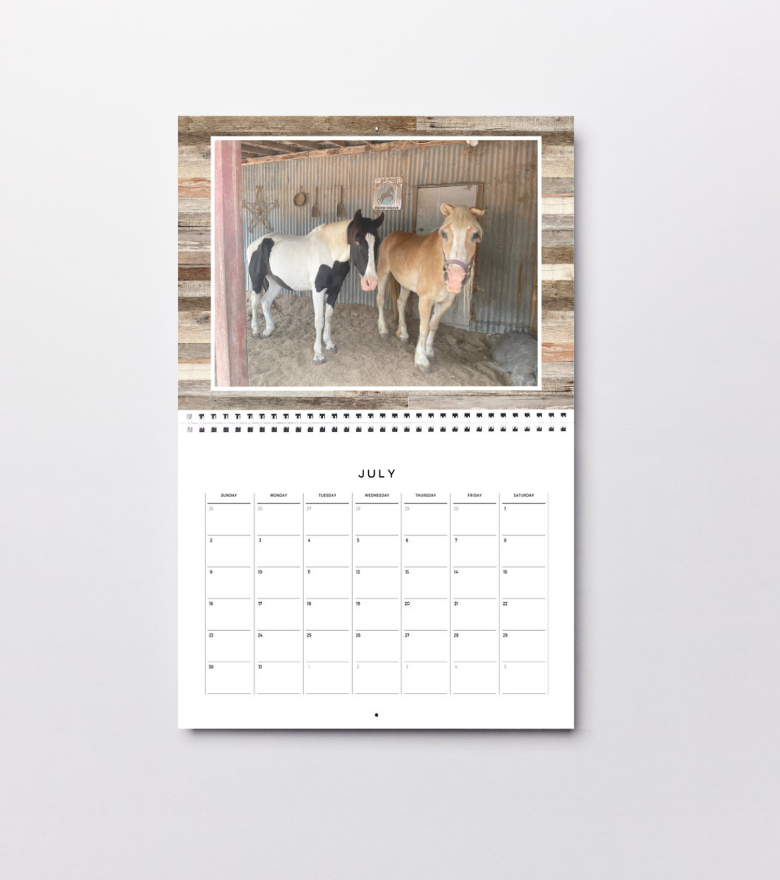 Purchase a 2026 wall calendar that helps support the rescued donkeys at Blue Moon Sanctuary.