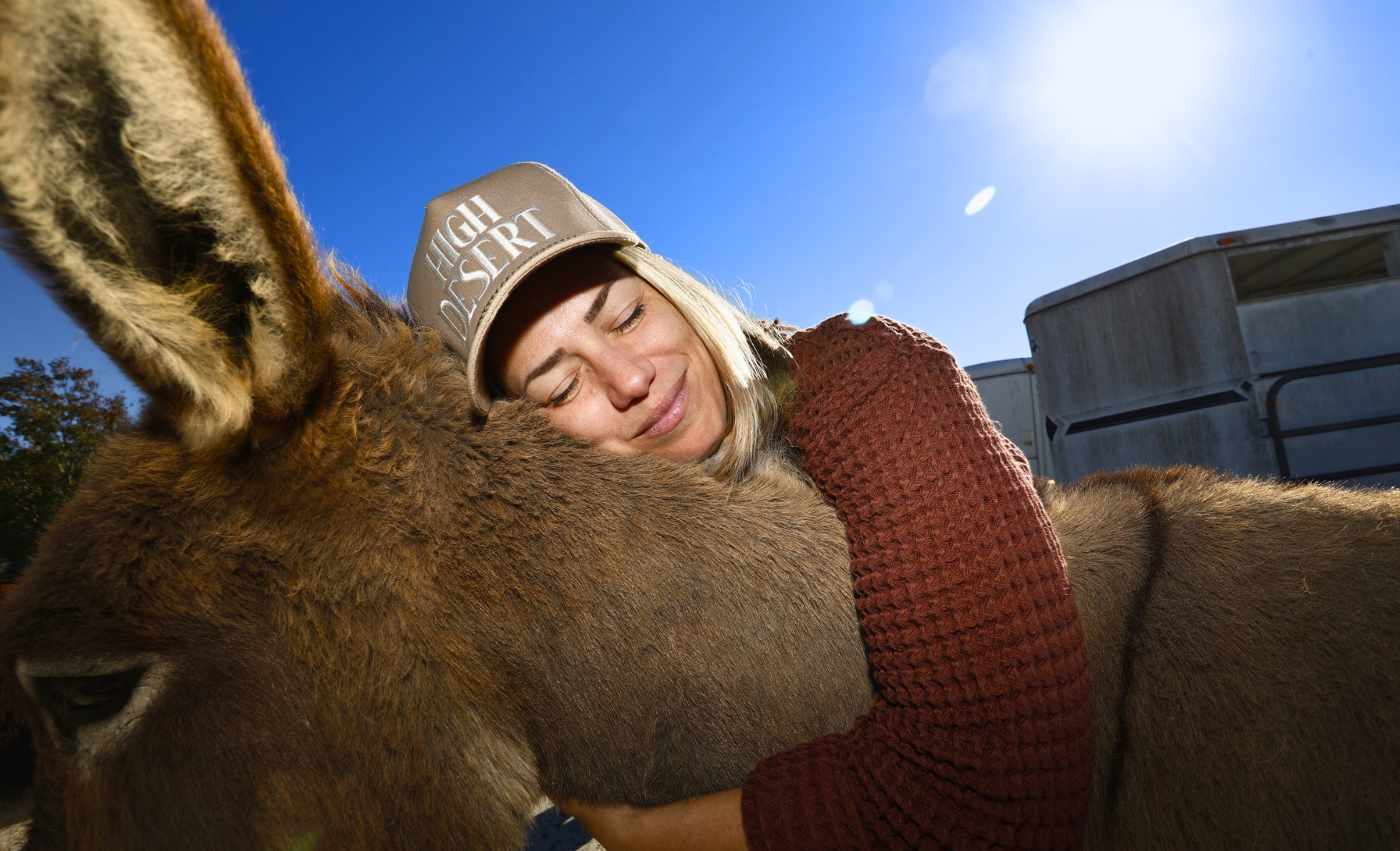A woman hugging a donkey outdoors on a sunny day.