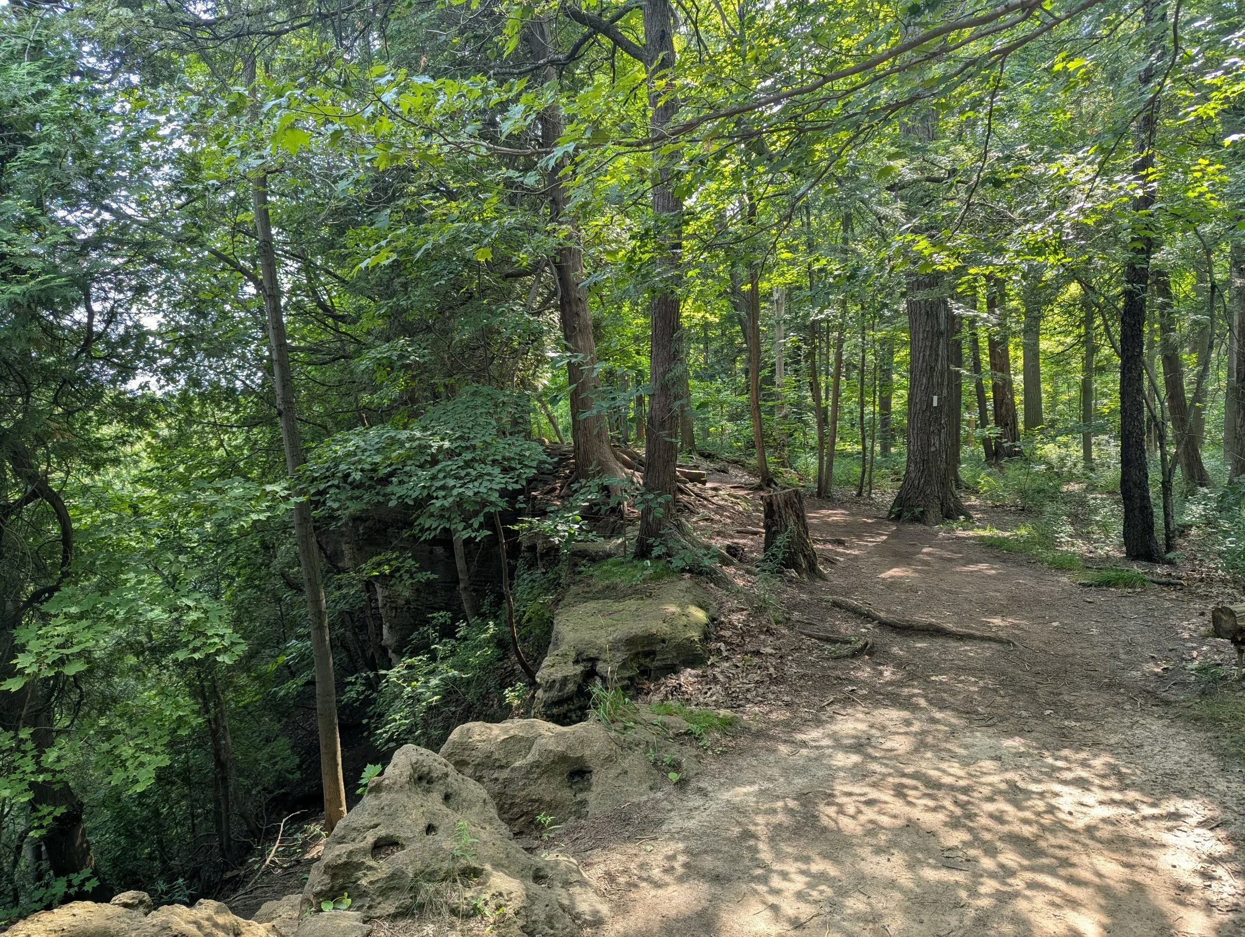 beamer-memorial-conservation-area-trail-cliff-2.jpg